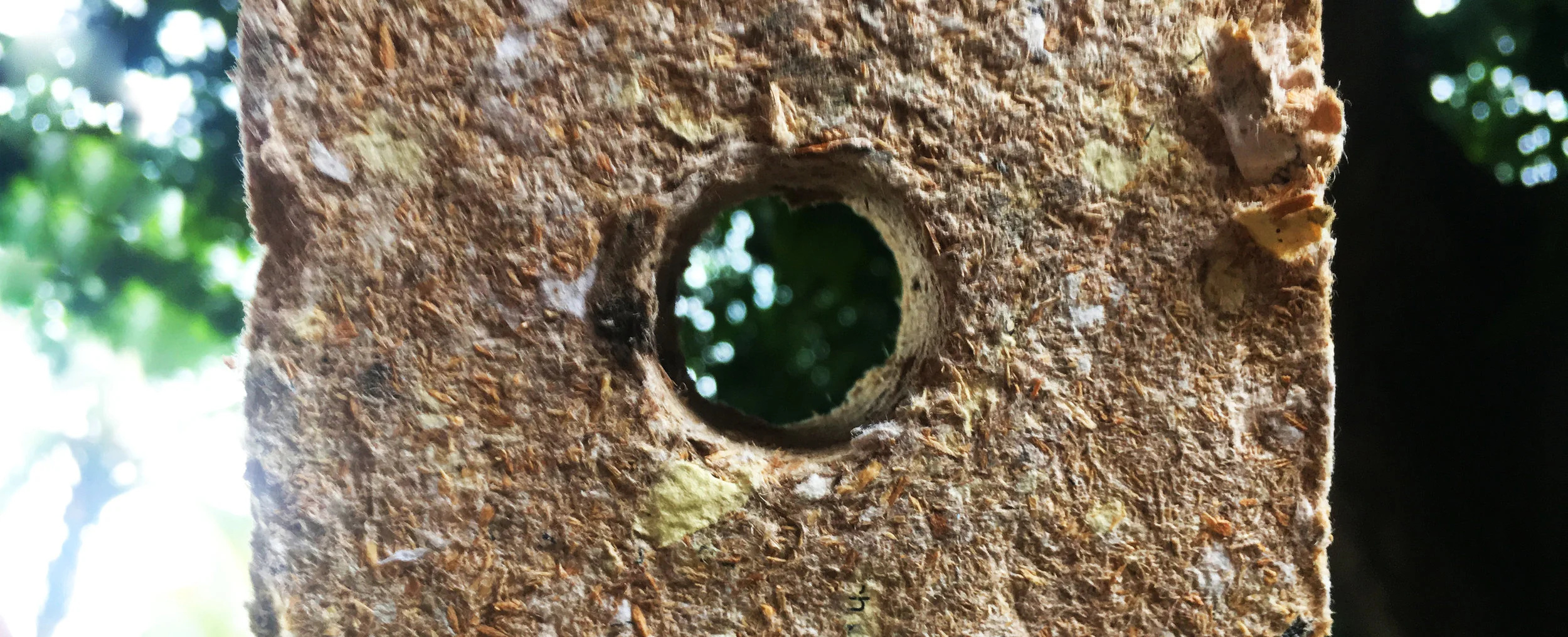 Briquette2.jpg