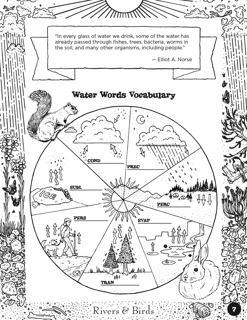 Rivers&Birds_WatershedLearningProject7.jpg