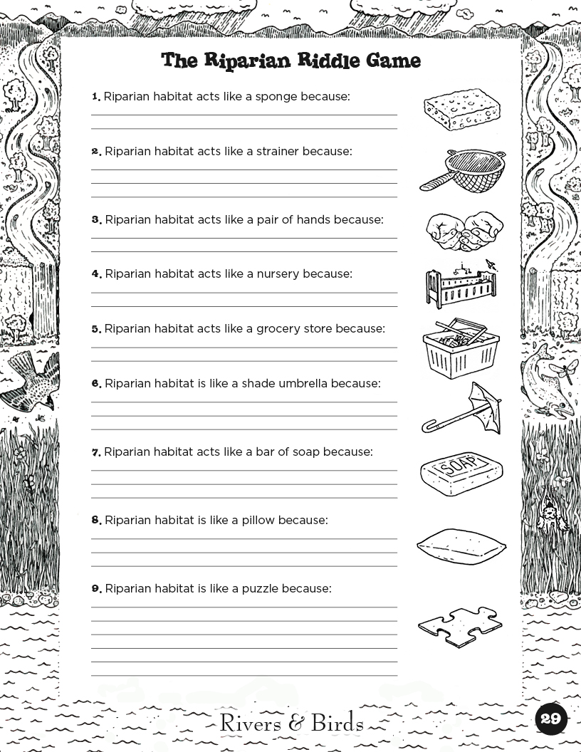 Rivers&Birds_WatershedLearningProject29.jpg