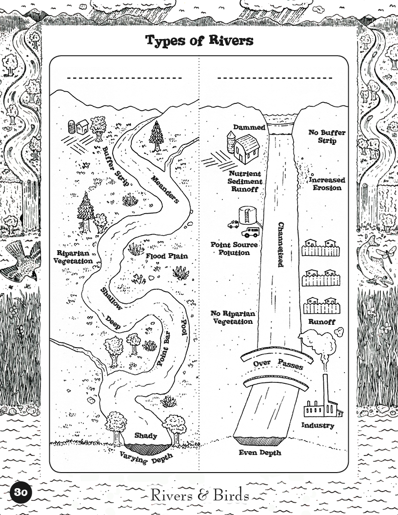 Rivers&Birds_WatershedLearningProject30.jpg