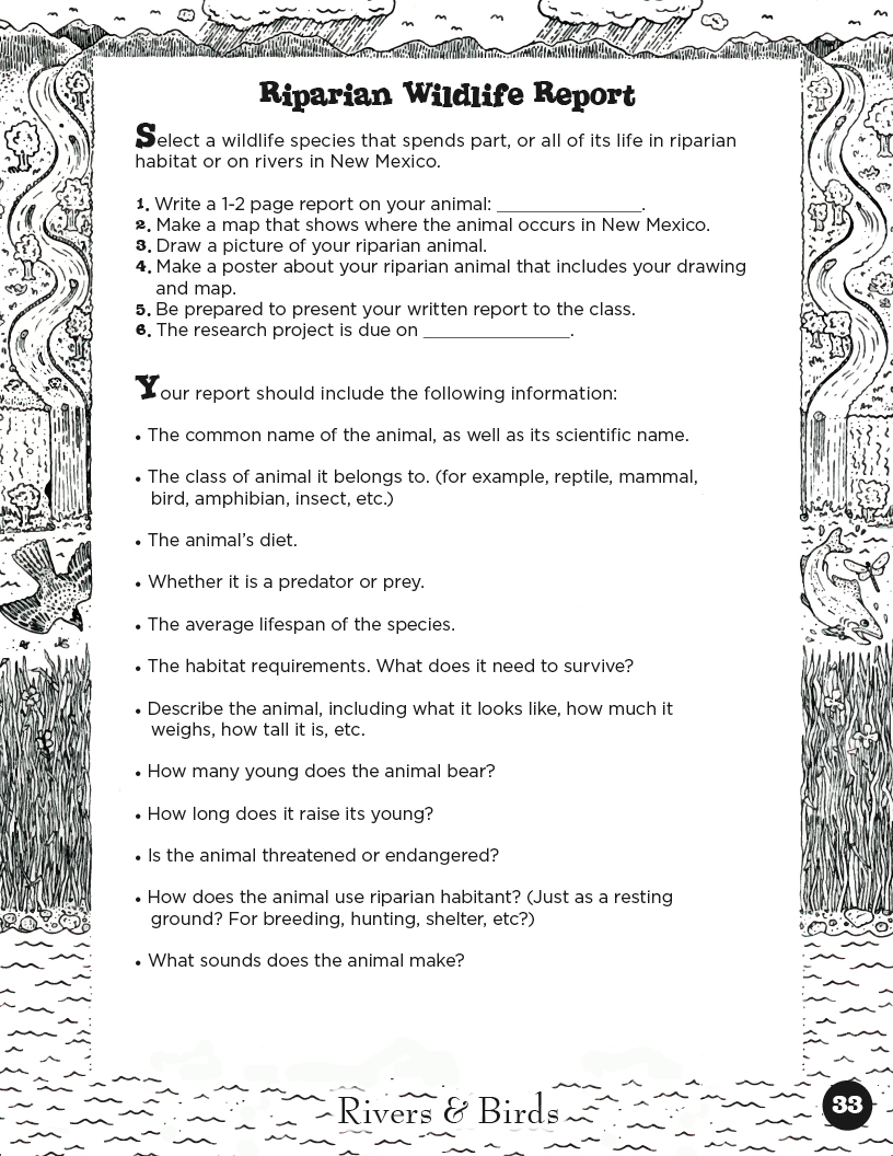 Rivers&Birds_WatershedLearningProject33.jpg