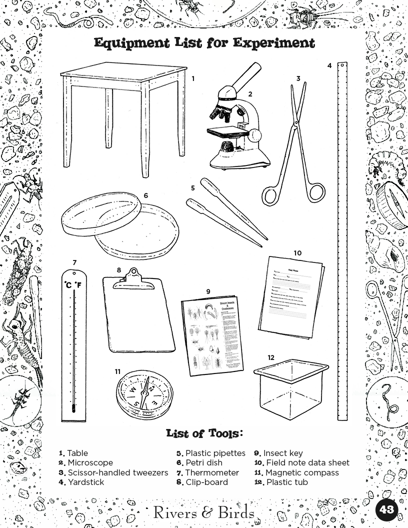 Rivers&Birds_WatershedLearningProject43.jpg