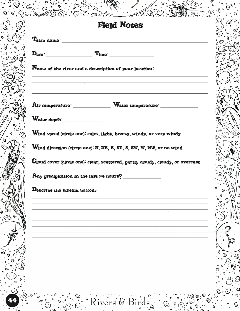 Rivers&Birds_WatershedLearningProject44.jpg