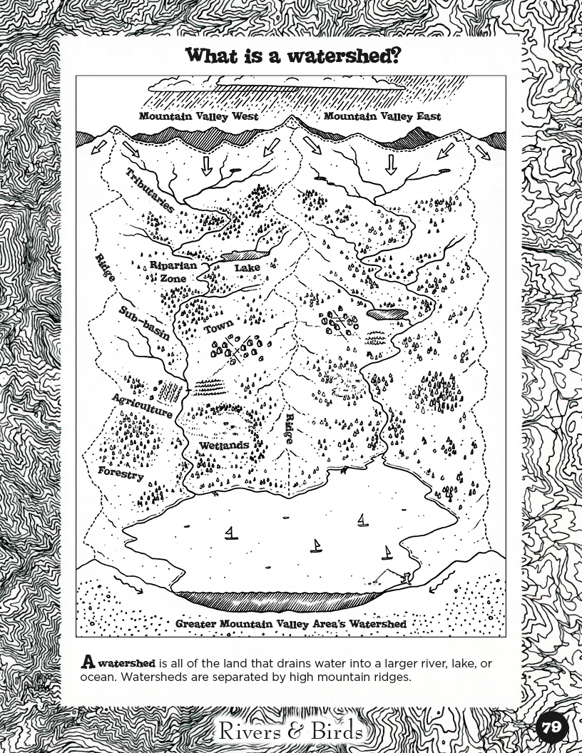 Rivers&Birds_WatershedLearningProject79.jpg