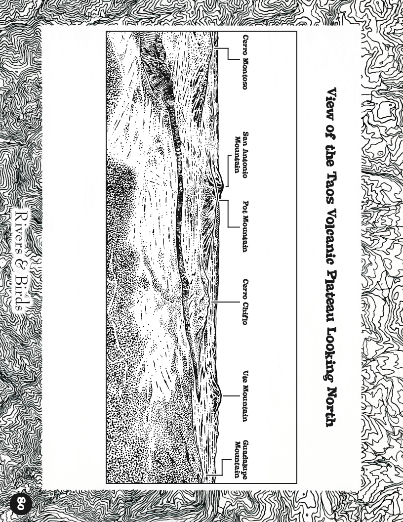 Rivers&Birds_WatershedLearningProject80.jpg