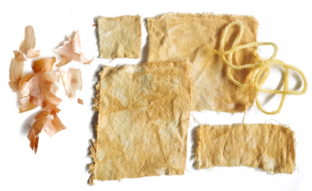 onionskin.jpg