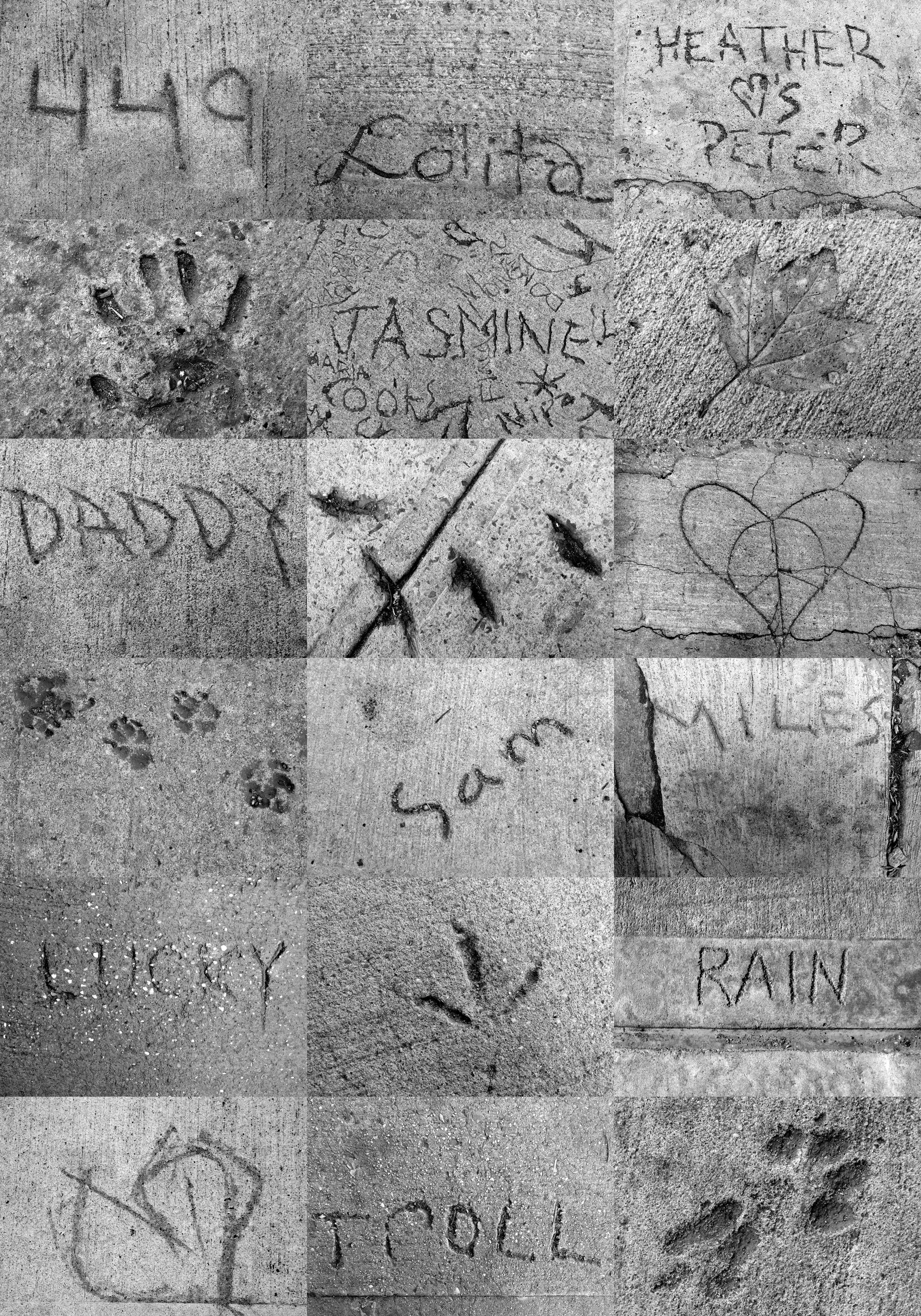 IN THE SIDEWALKS OF NYC