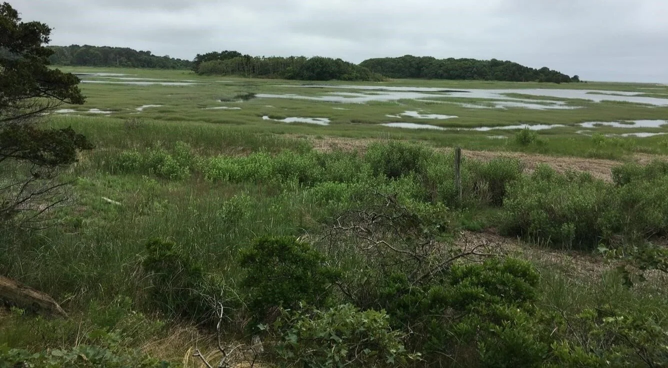 Save the Bay Reports on Salt Marshes at Land Trust Meeting