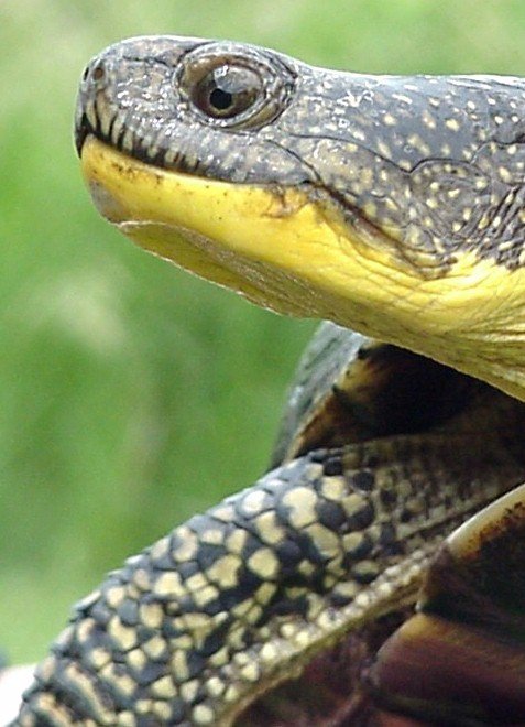 Protecting Rehoboth's Natural Resources