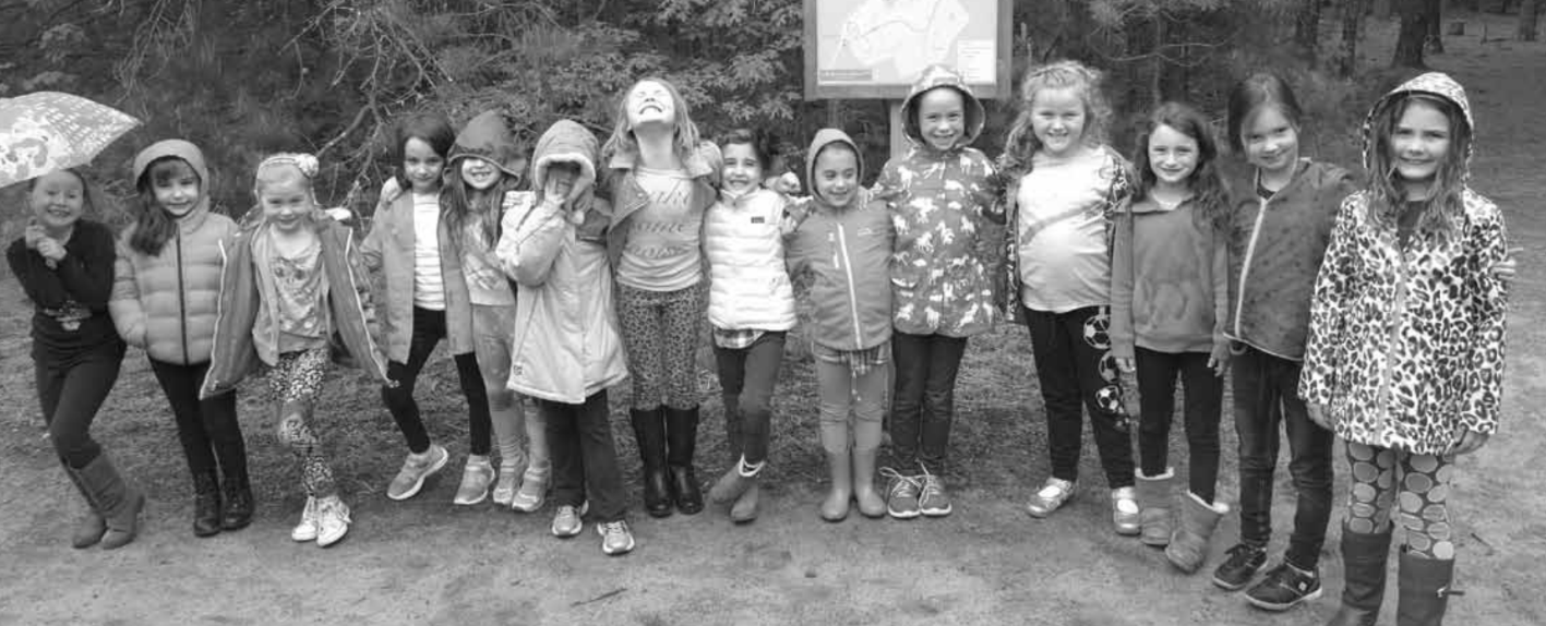 Planting Wildflower Seeds