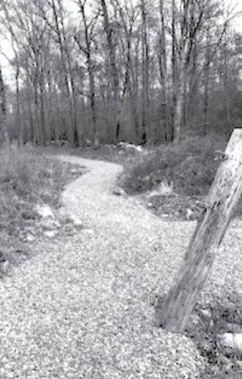 My Eagle Scout Project: Renovating Trails on Reynolds Ave
