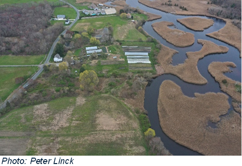 Another Grant for the Mason Street Conservation Area Restoration!