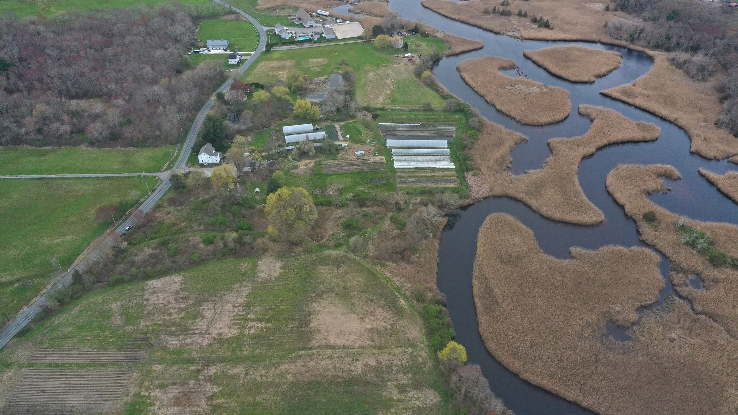Another Grant for the Mason Street Conservation Area Restoration!