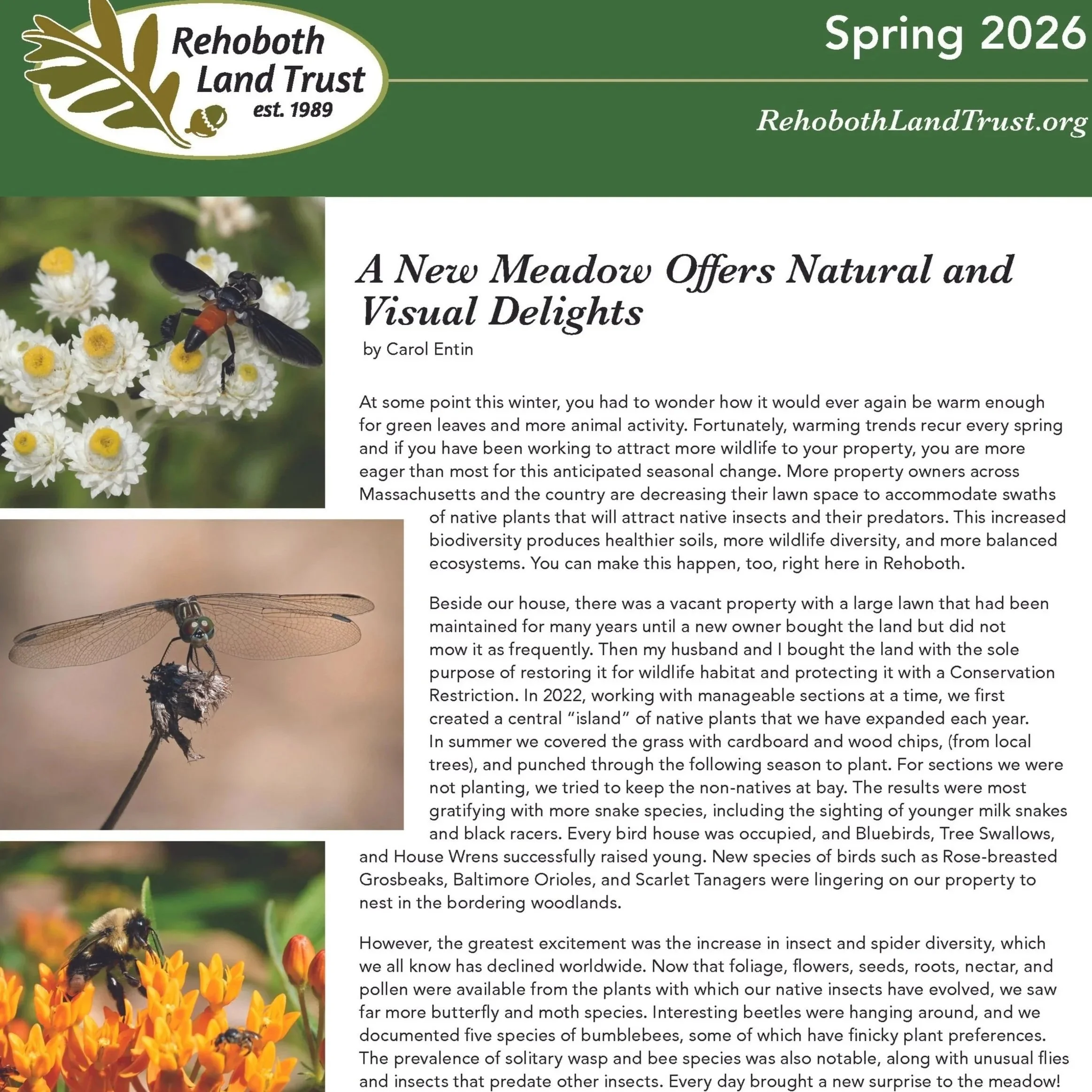 Spring 2026 Newsletter