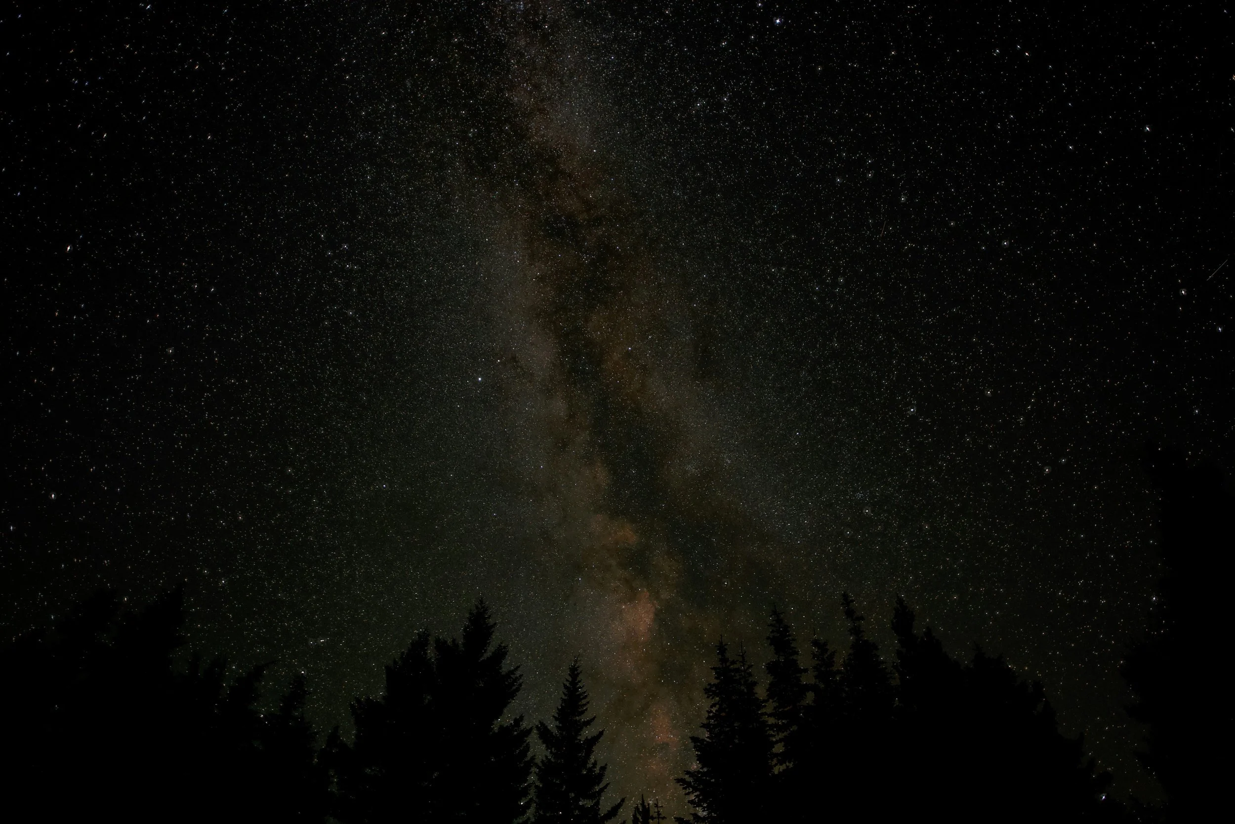 There’s So Much to See in the Dark
