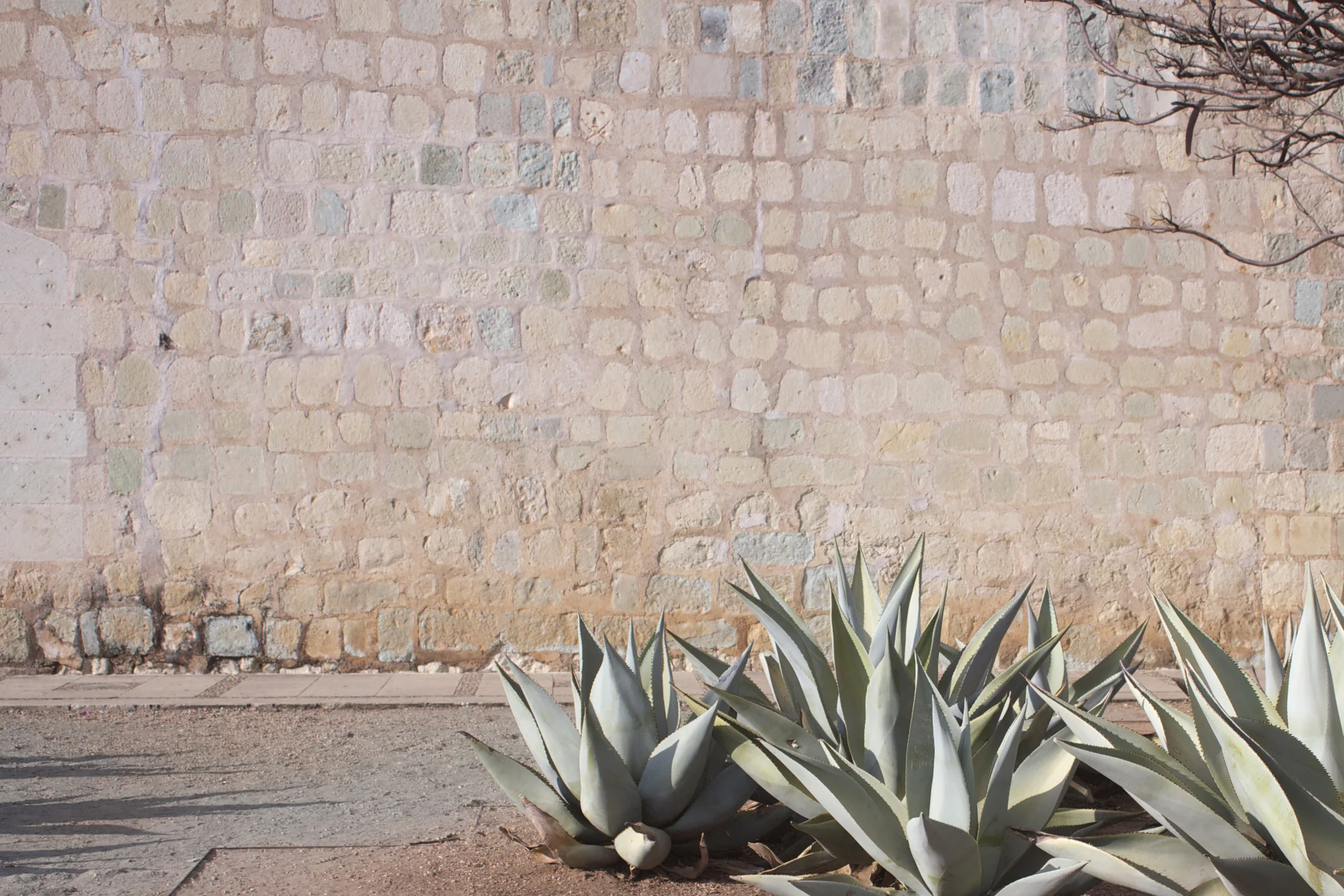 Travels to Oaxaca