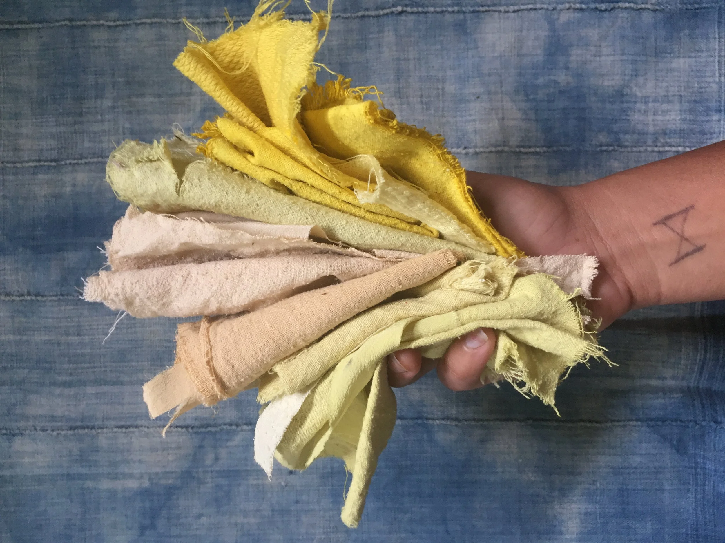 WORKSHOP: Medicinal Plants as Natural Dye