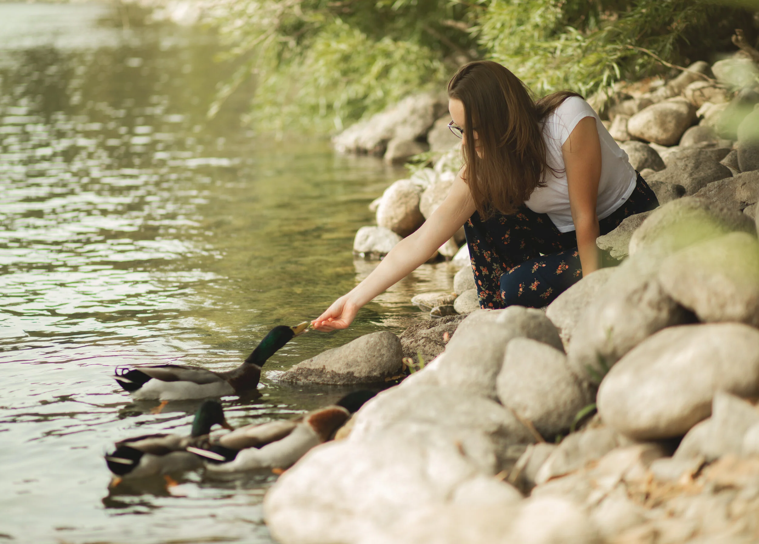 Sessions — Elizabeth Knight Photography