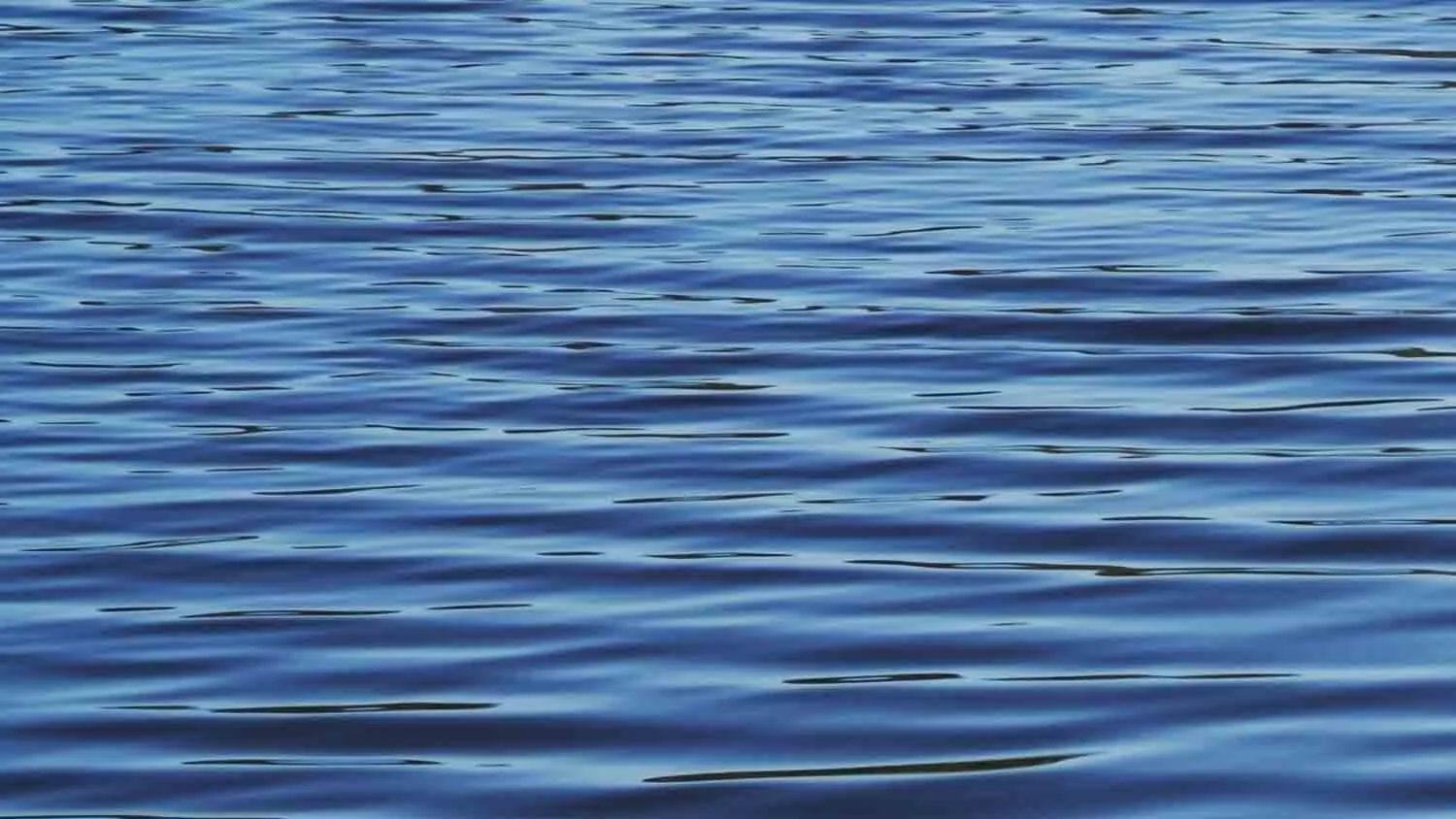 A Meditation on Psalm 130