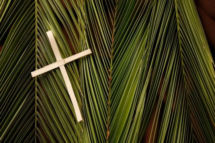 Palm Sunday - 28 March 2021