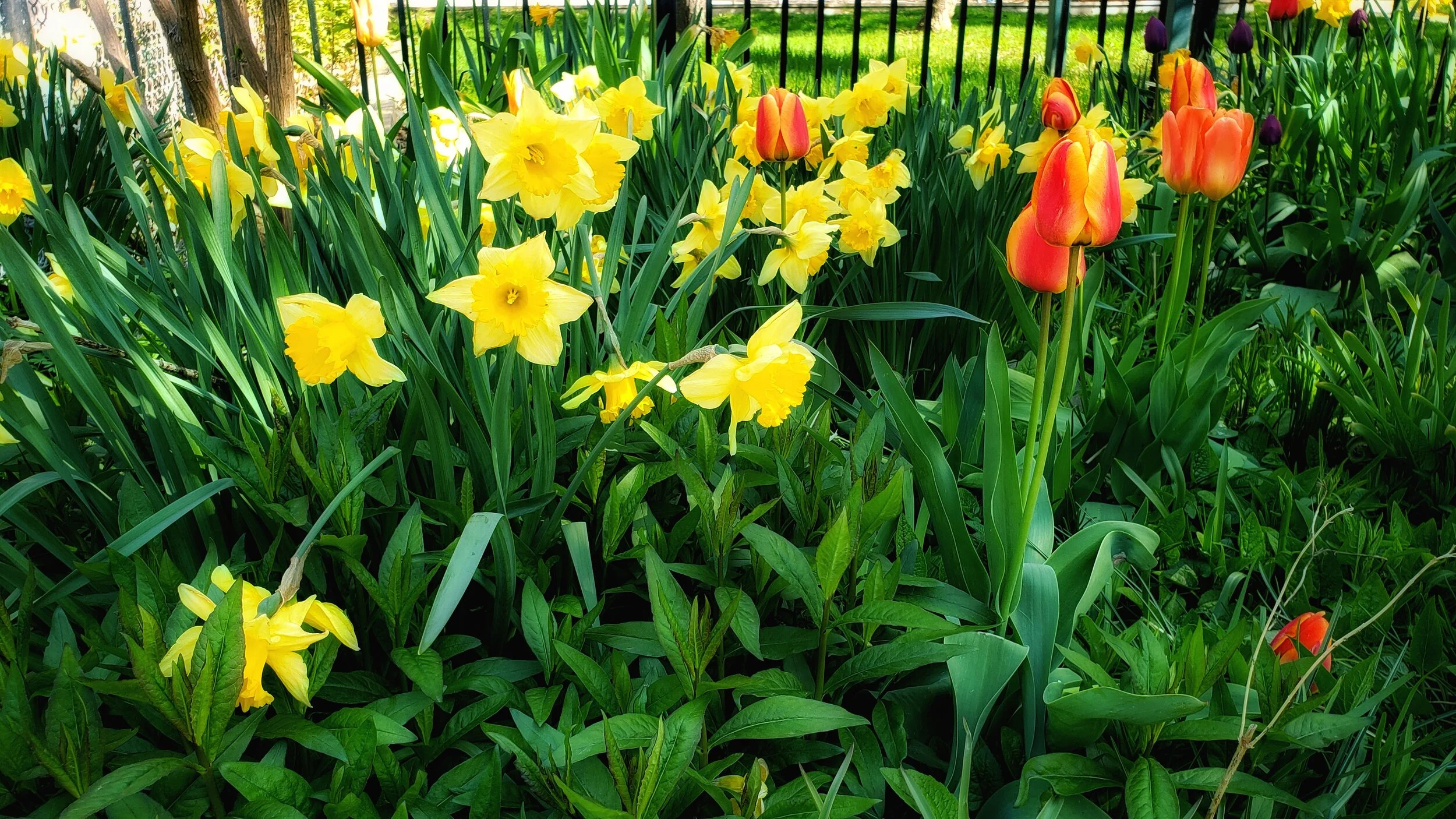 Easter Day - 4 April 2021