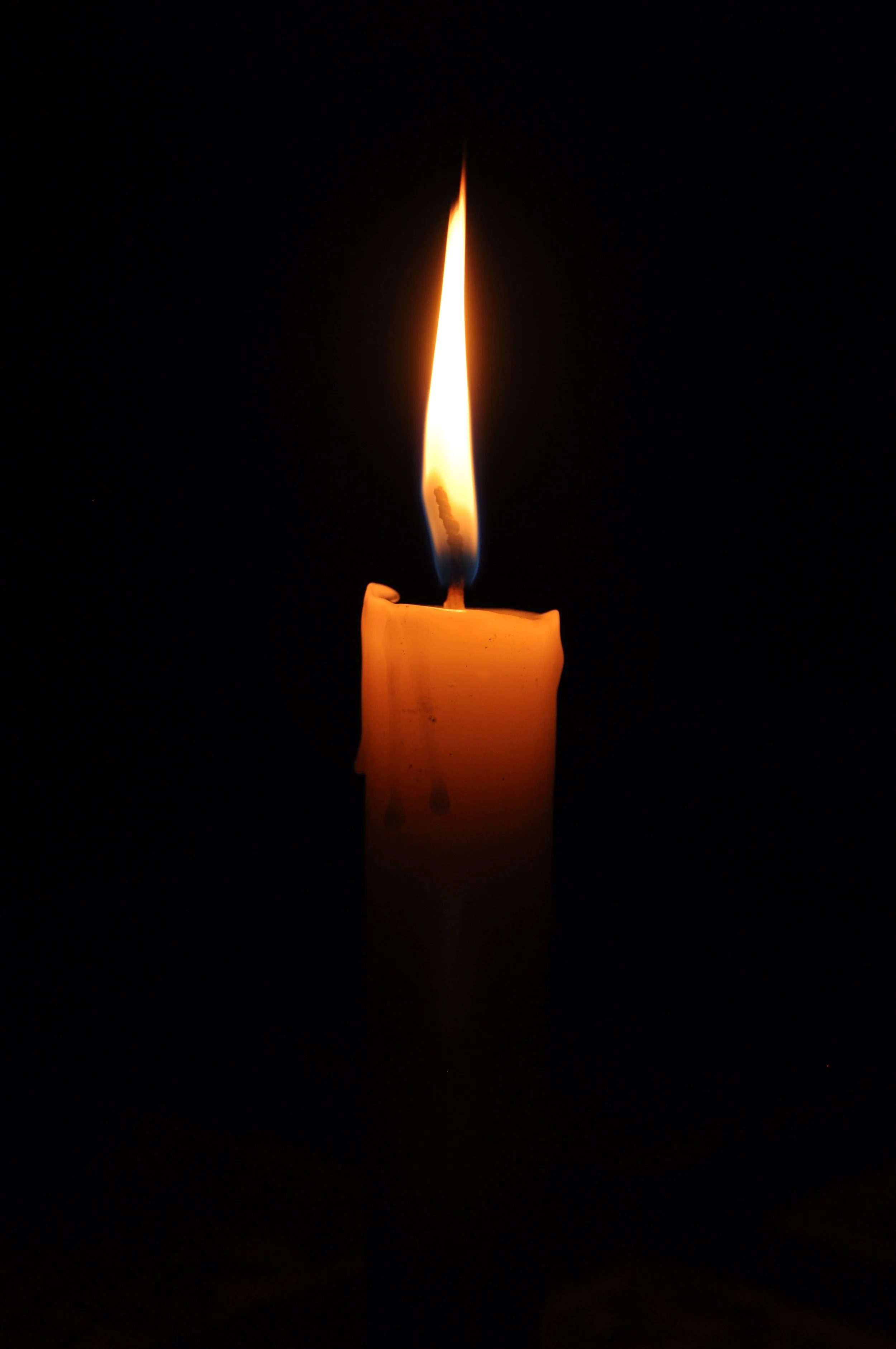 Candlemas - 2 February 2022