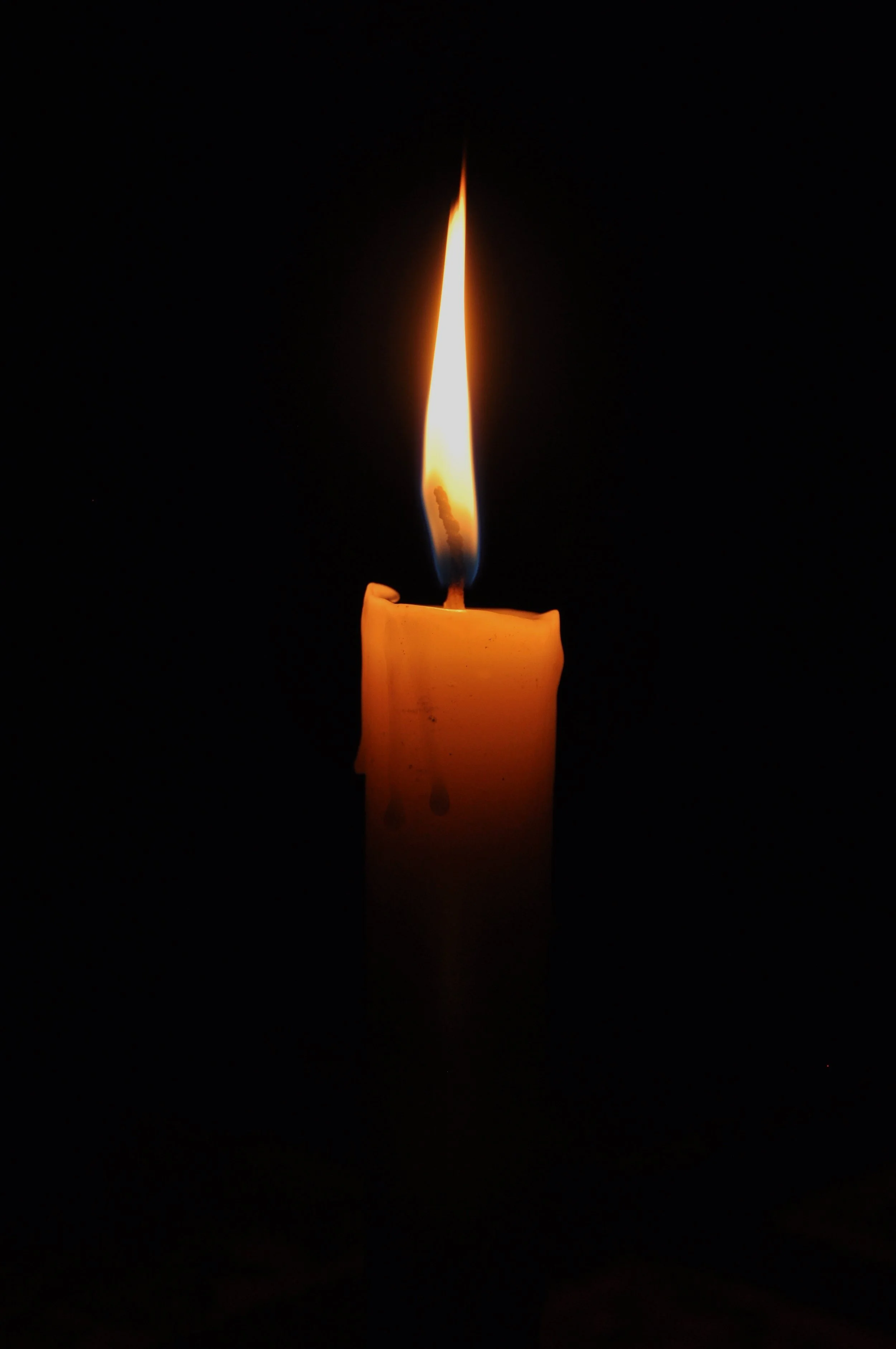 Presentation of the Lord (Candlemas) - 2 February 2021