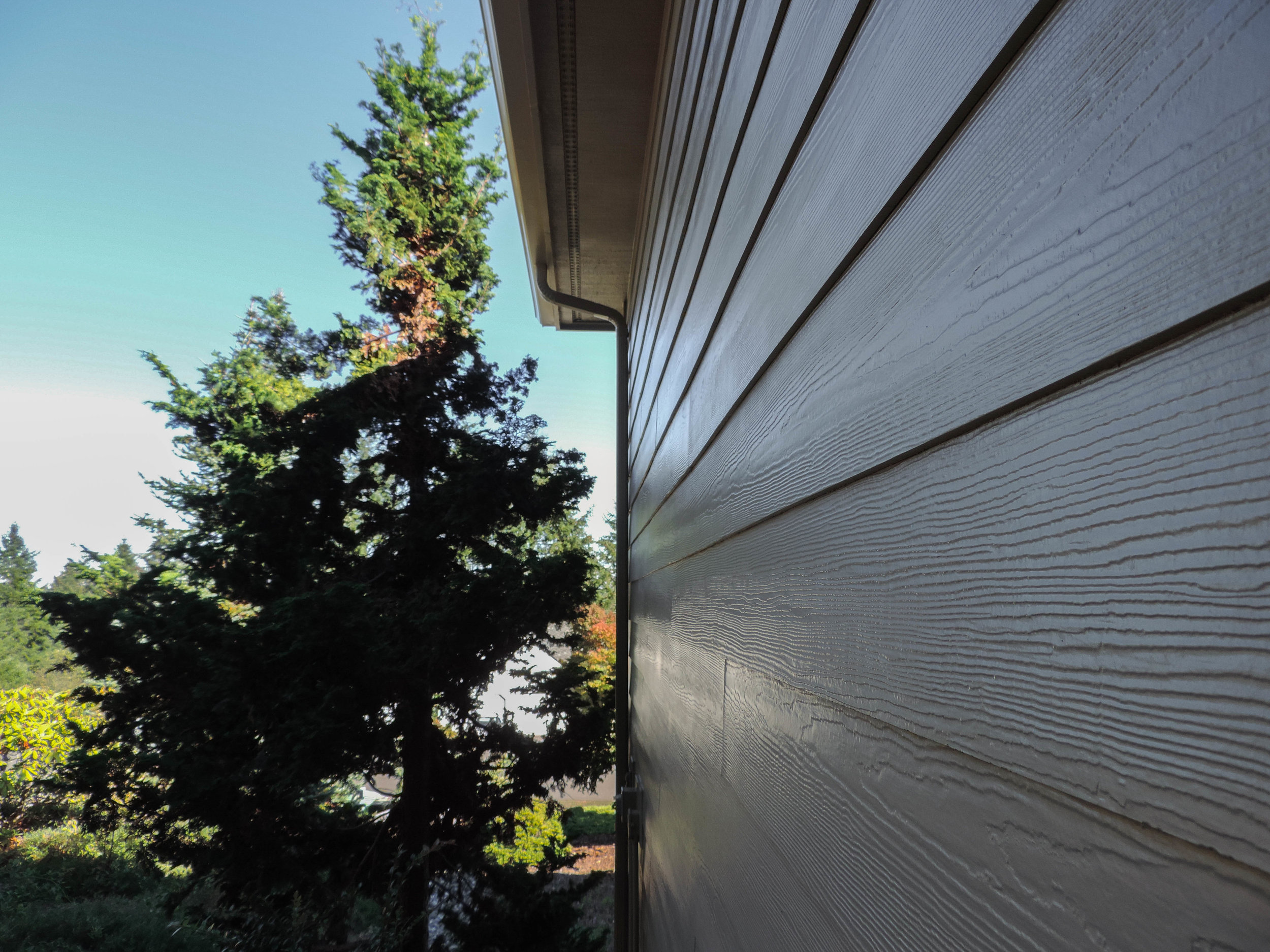 Daylight illuminating this fine paint job by our team in Poulsbo