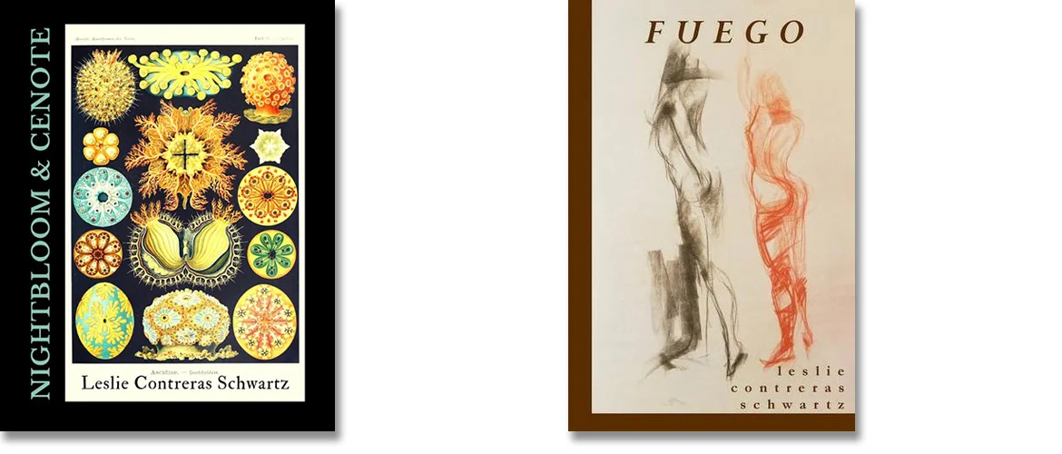 Both_covers_bio.jpg