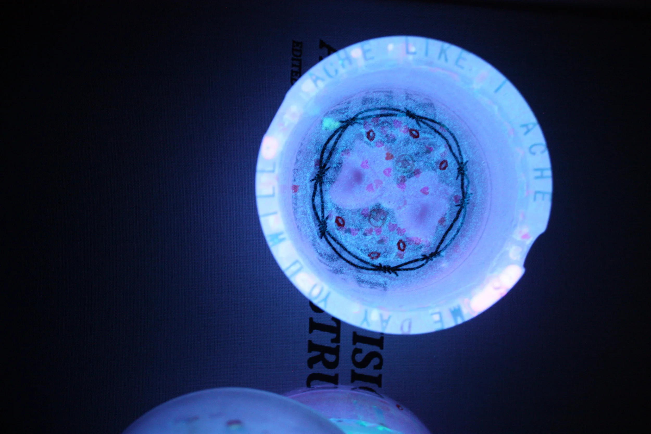 SOMEDAY YOU WILL.JPG