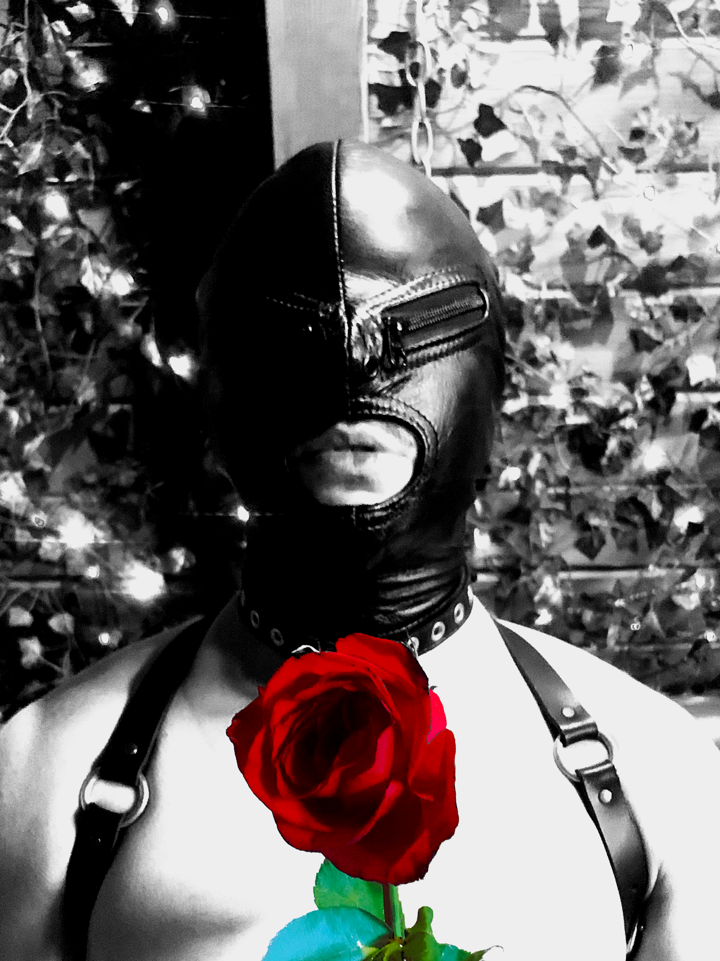 Untitled_Artwork 53.png
