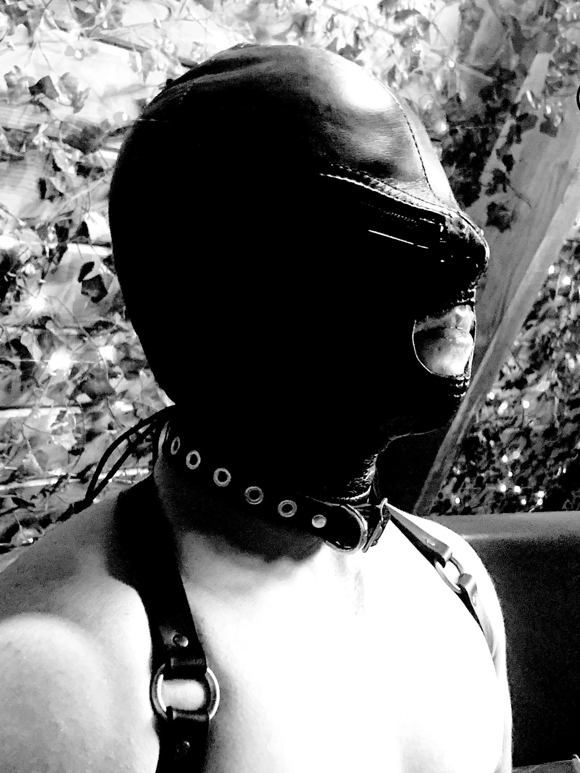 EFD8B340-0C28-4351-B104-67FE15455D3D