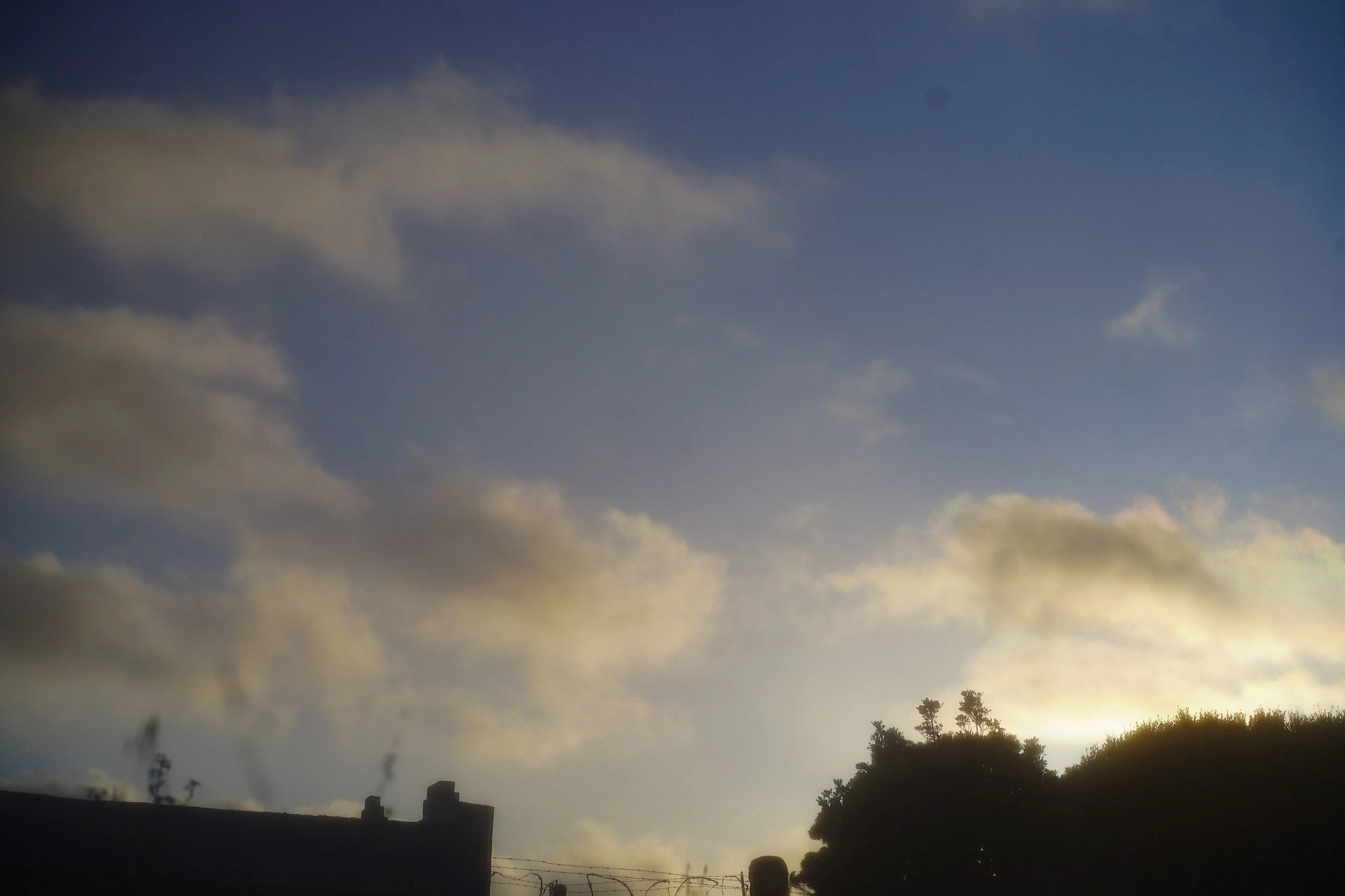 DSC06730.jpg