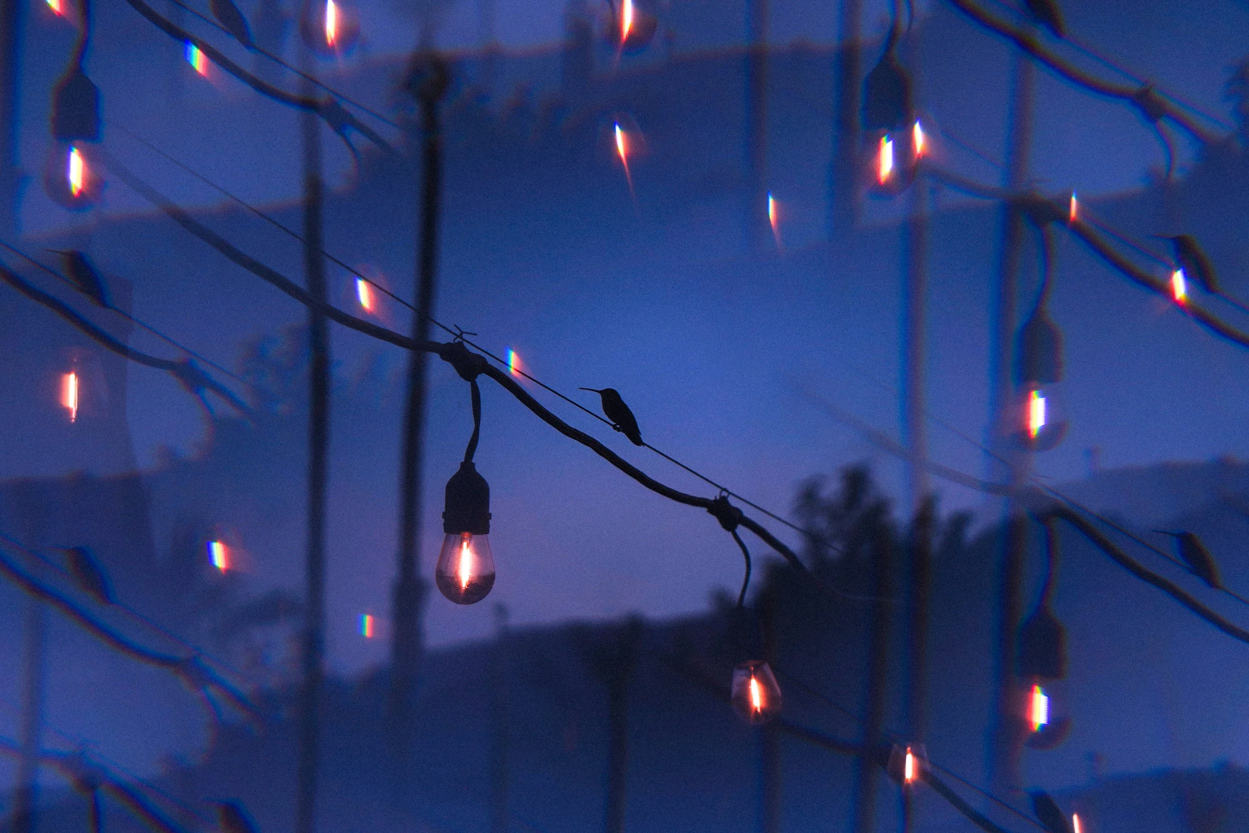  PALM SPRINGS, CA ✧ 2022 