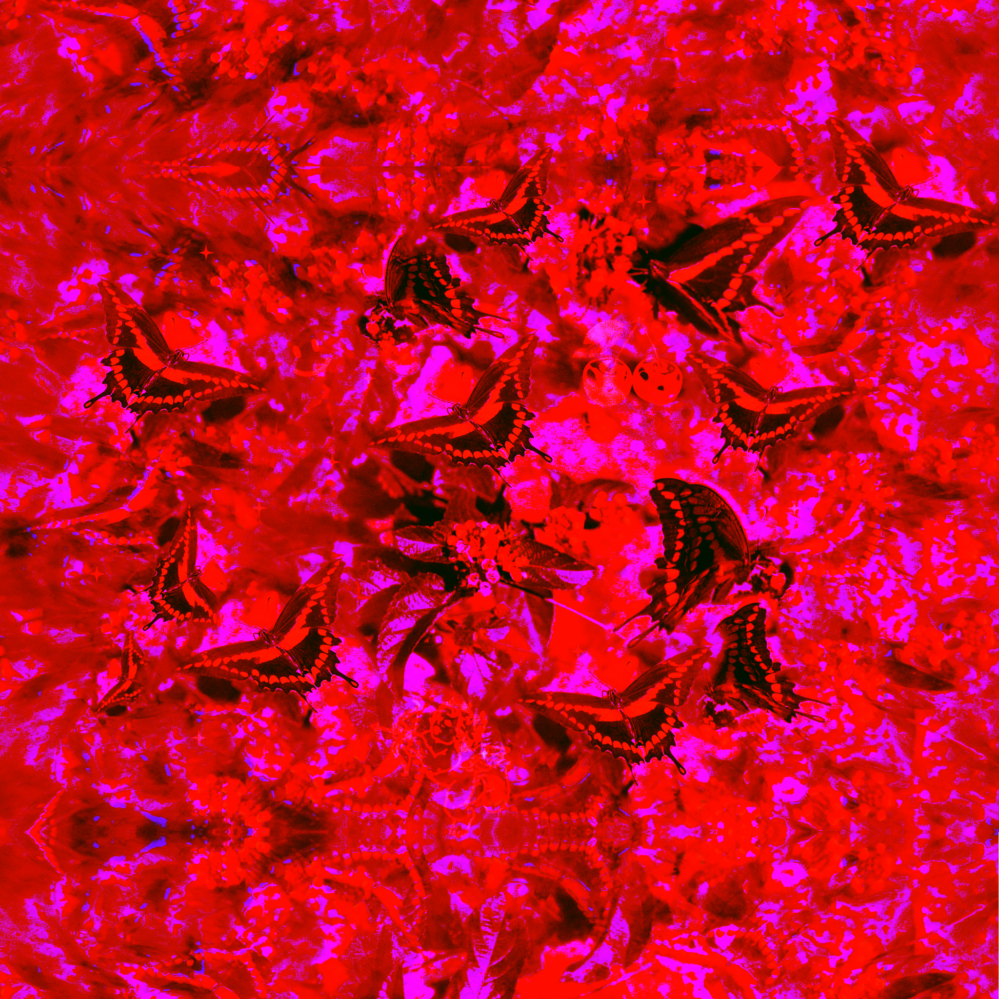 Untitled_Artwork-2 2.png