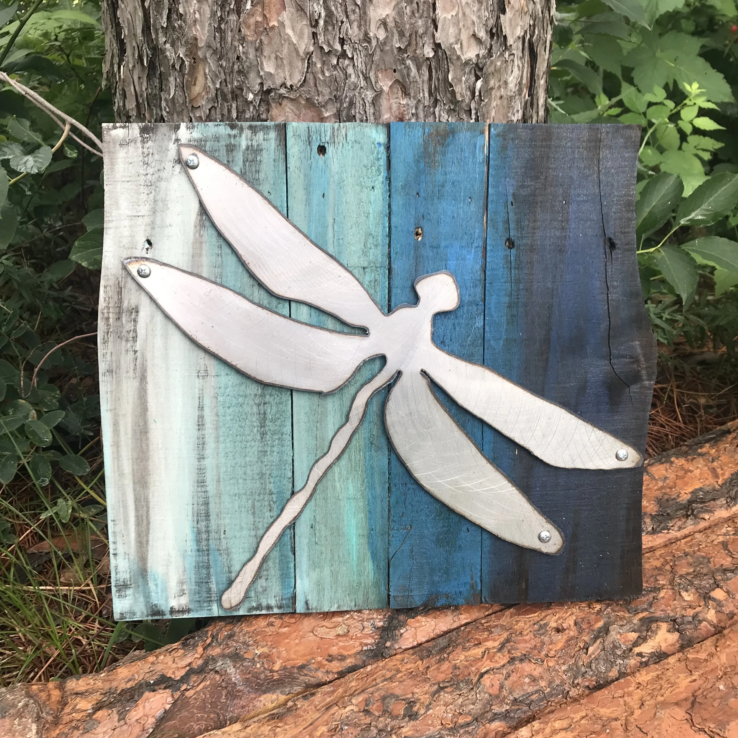 Dragonfly blue.jpg