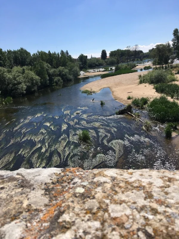 (Picture credit- me: A photo of the river from the bridge we crossed)