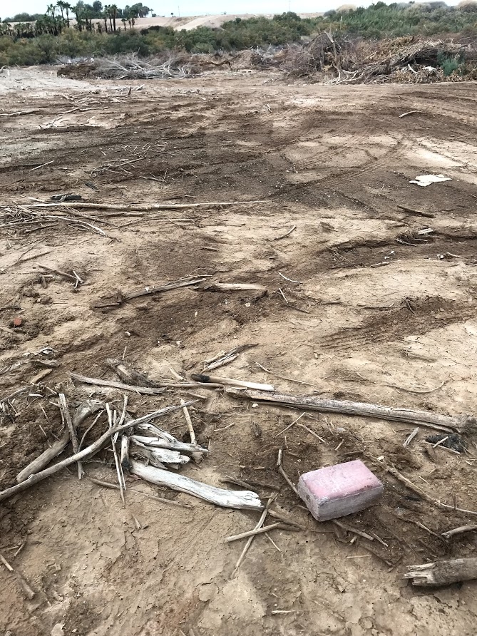 Grave markers found in a trash heap out back.