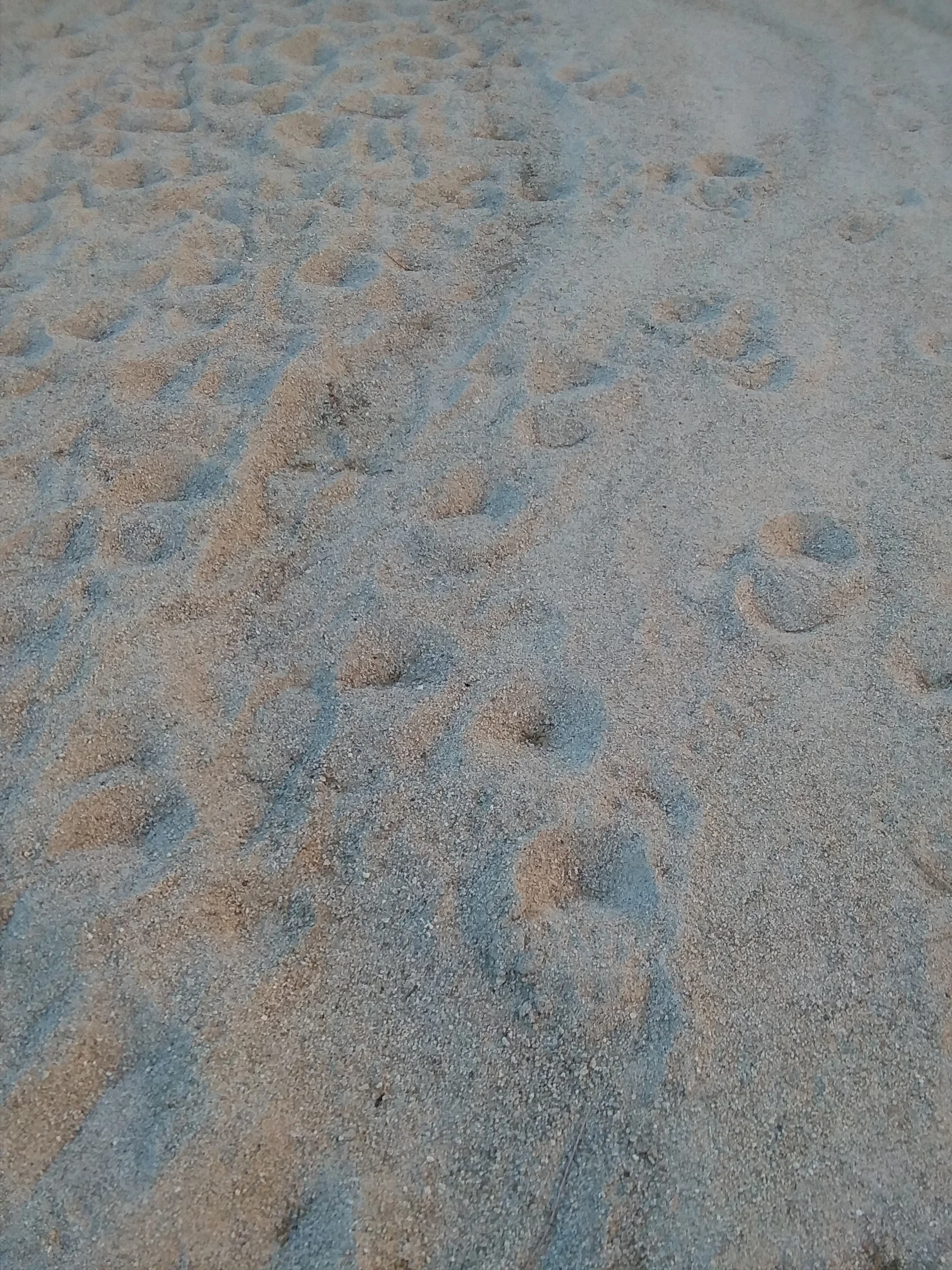 20171125_143047.jpg