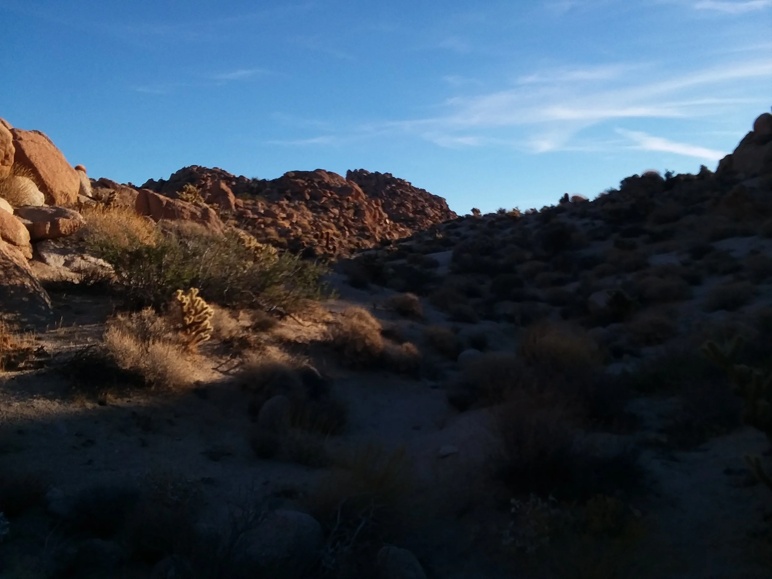 20151231_164152.jpg