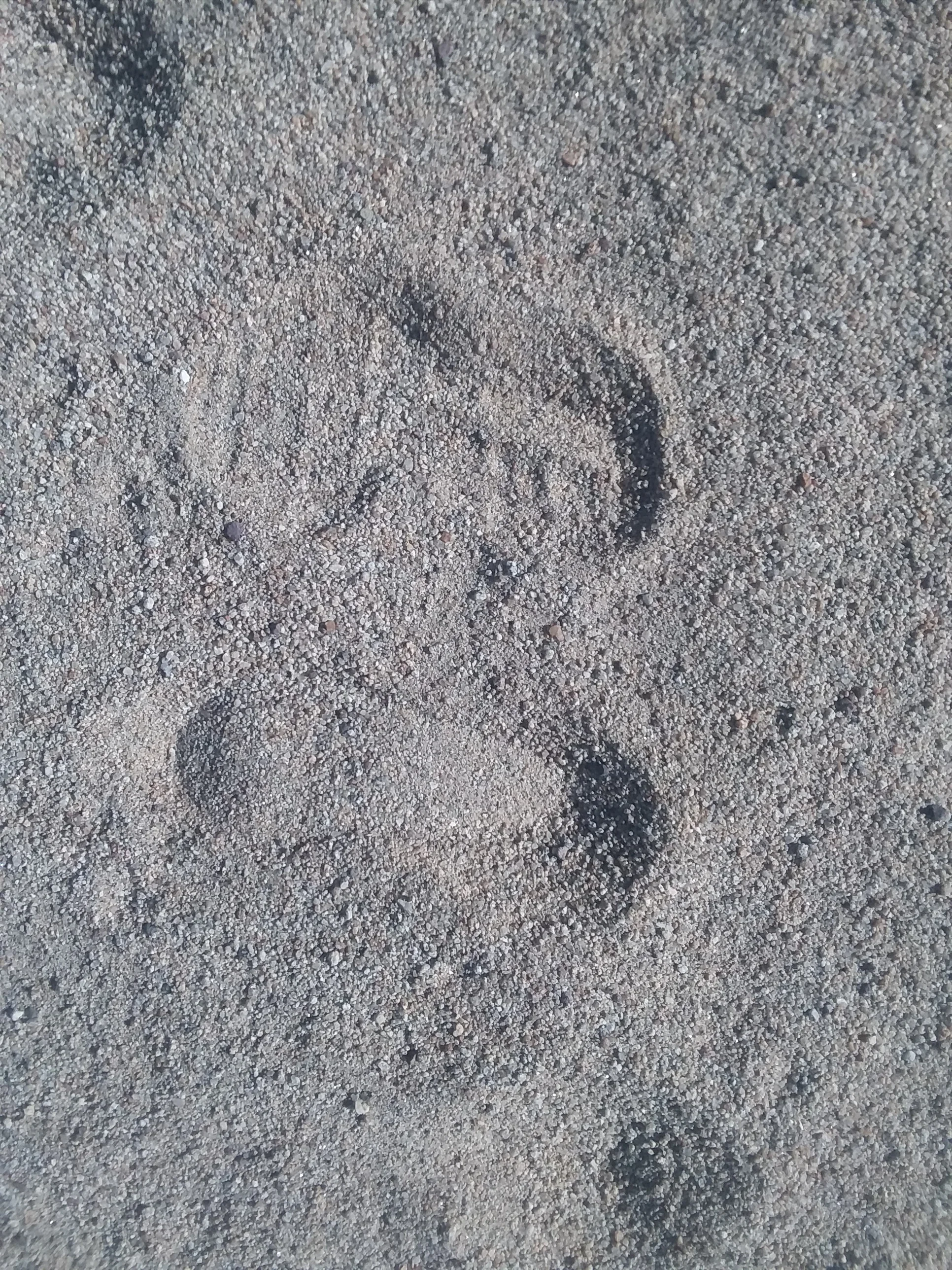 20151231_193532.jpg
