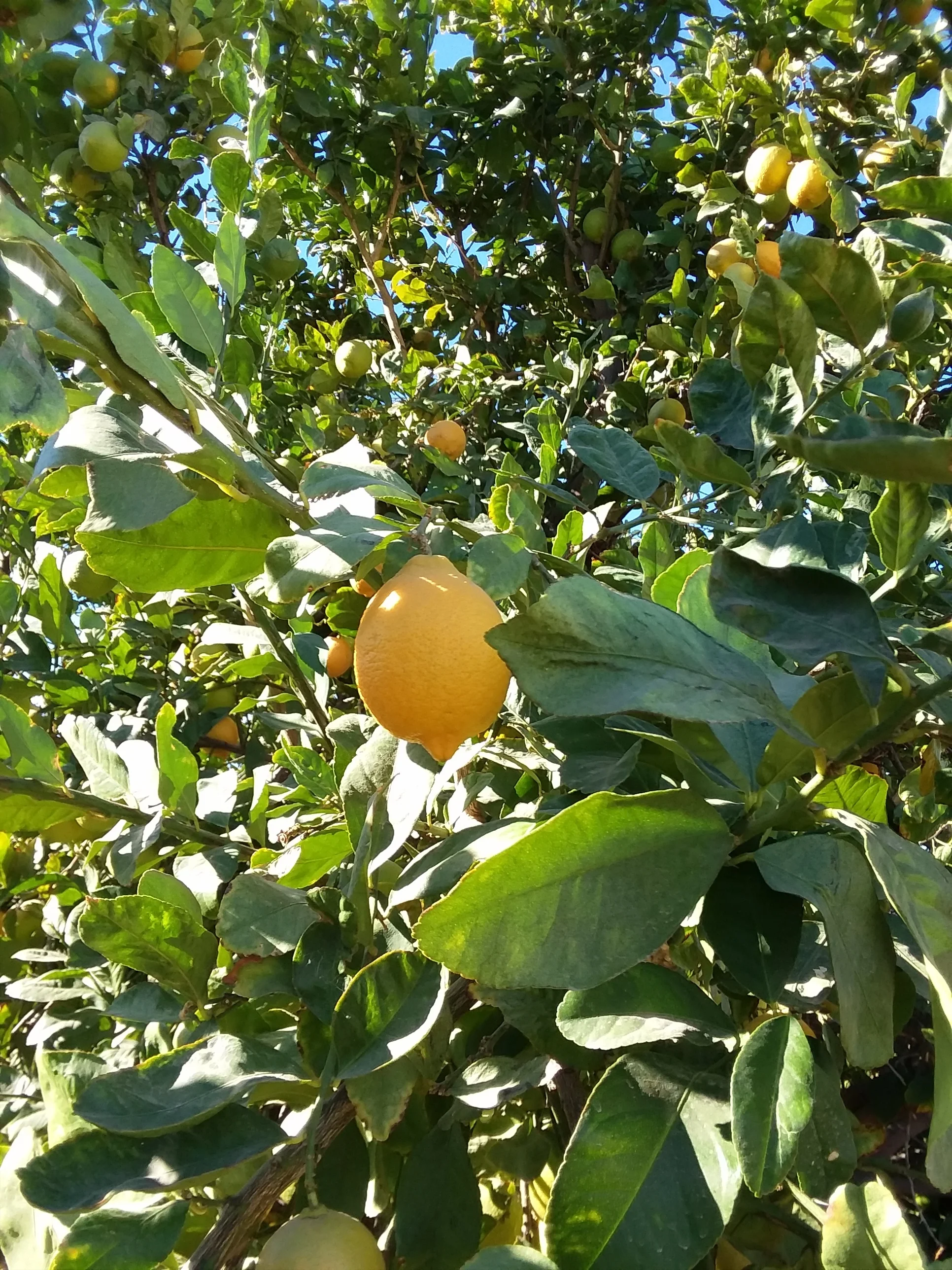 20171206_105027.jpg