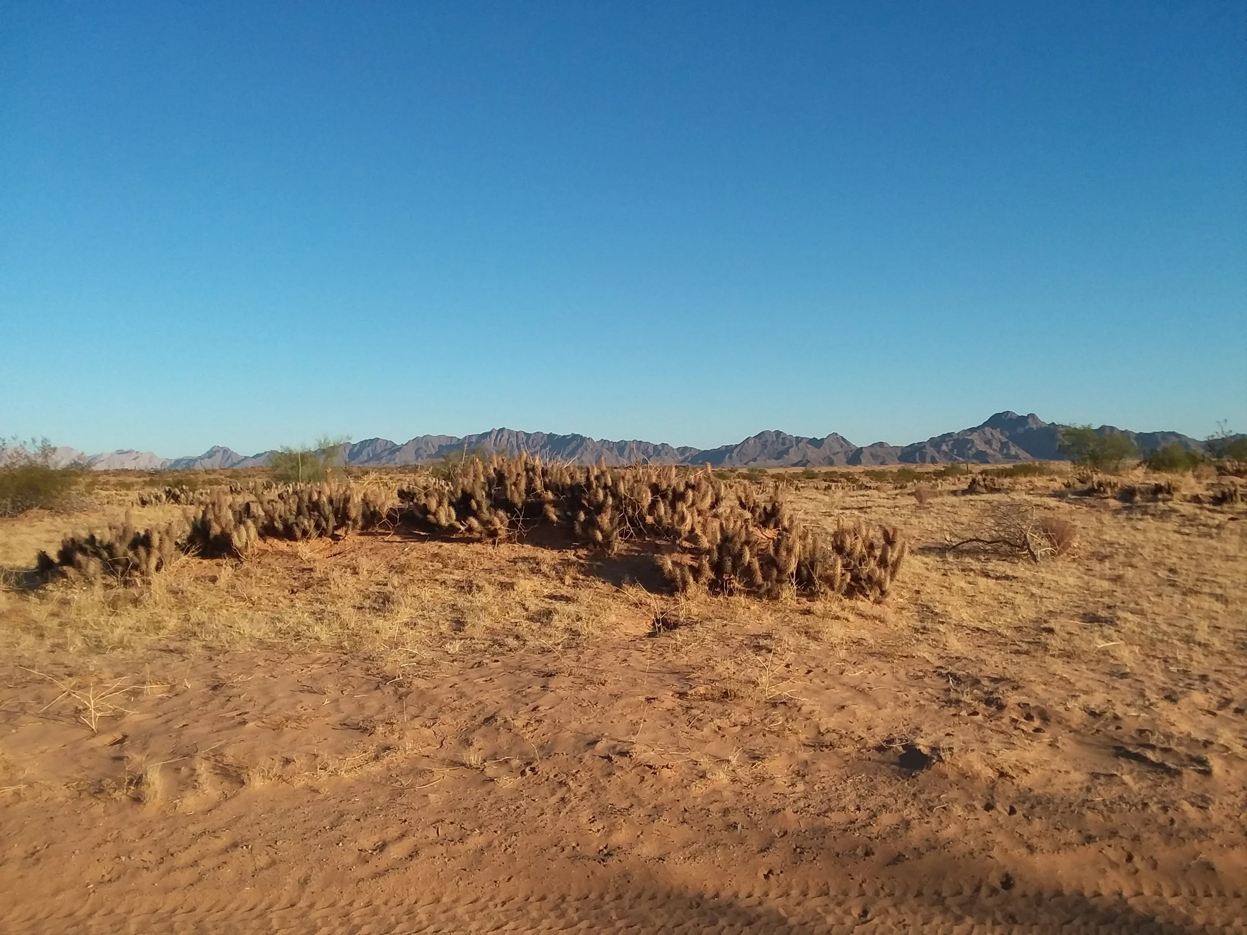 20171214_083532.jpg