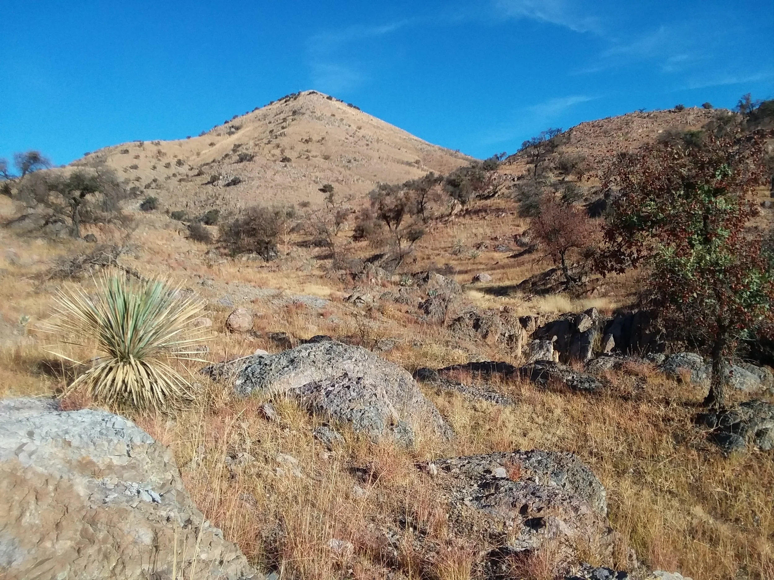 20171221_085901.jpg