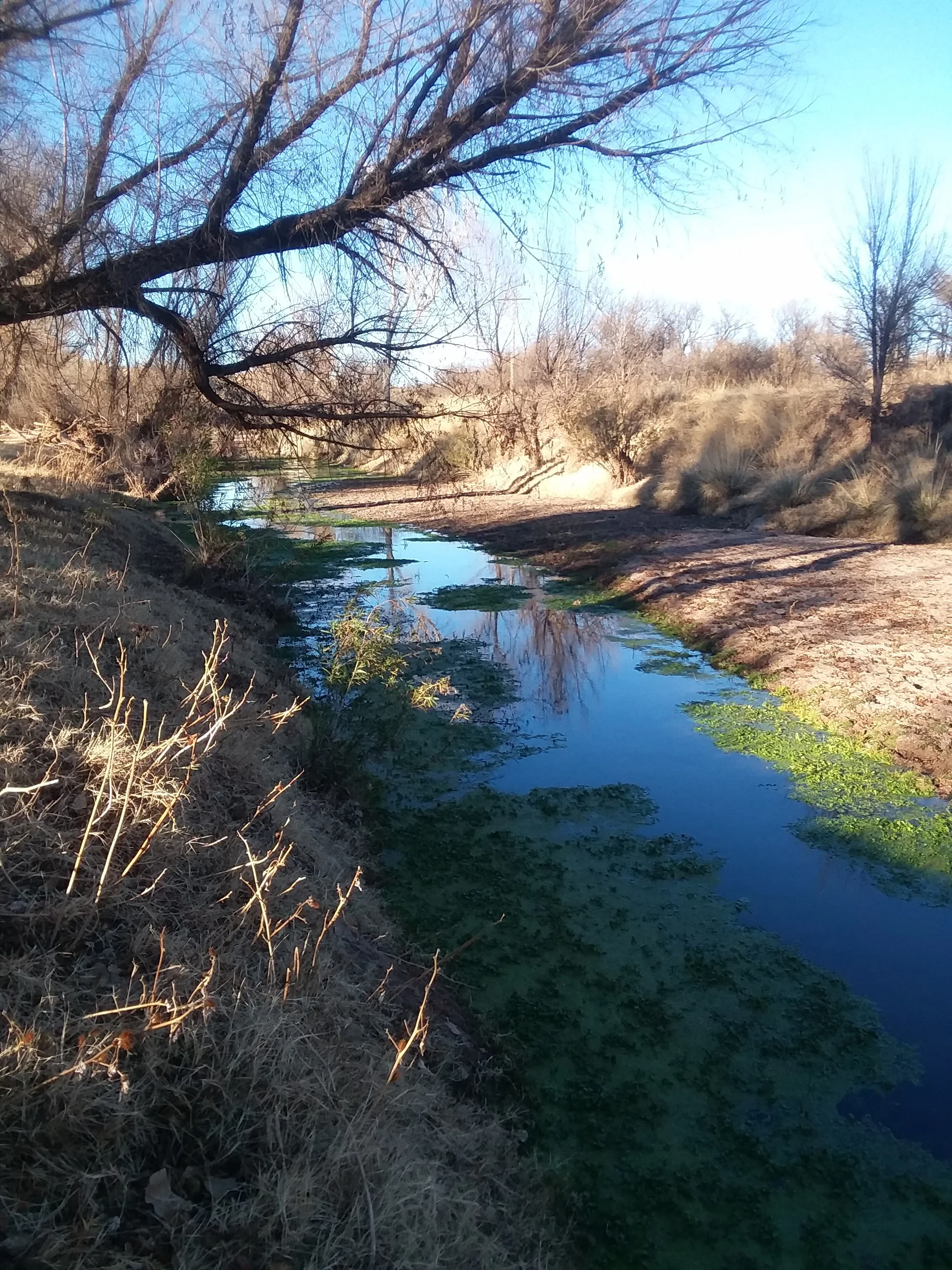 20171229_160528.jpg