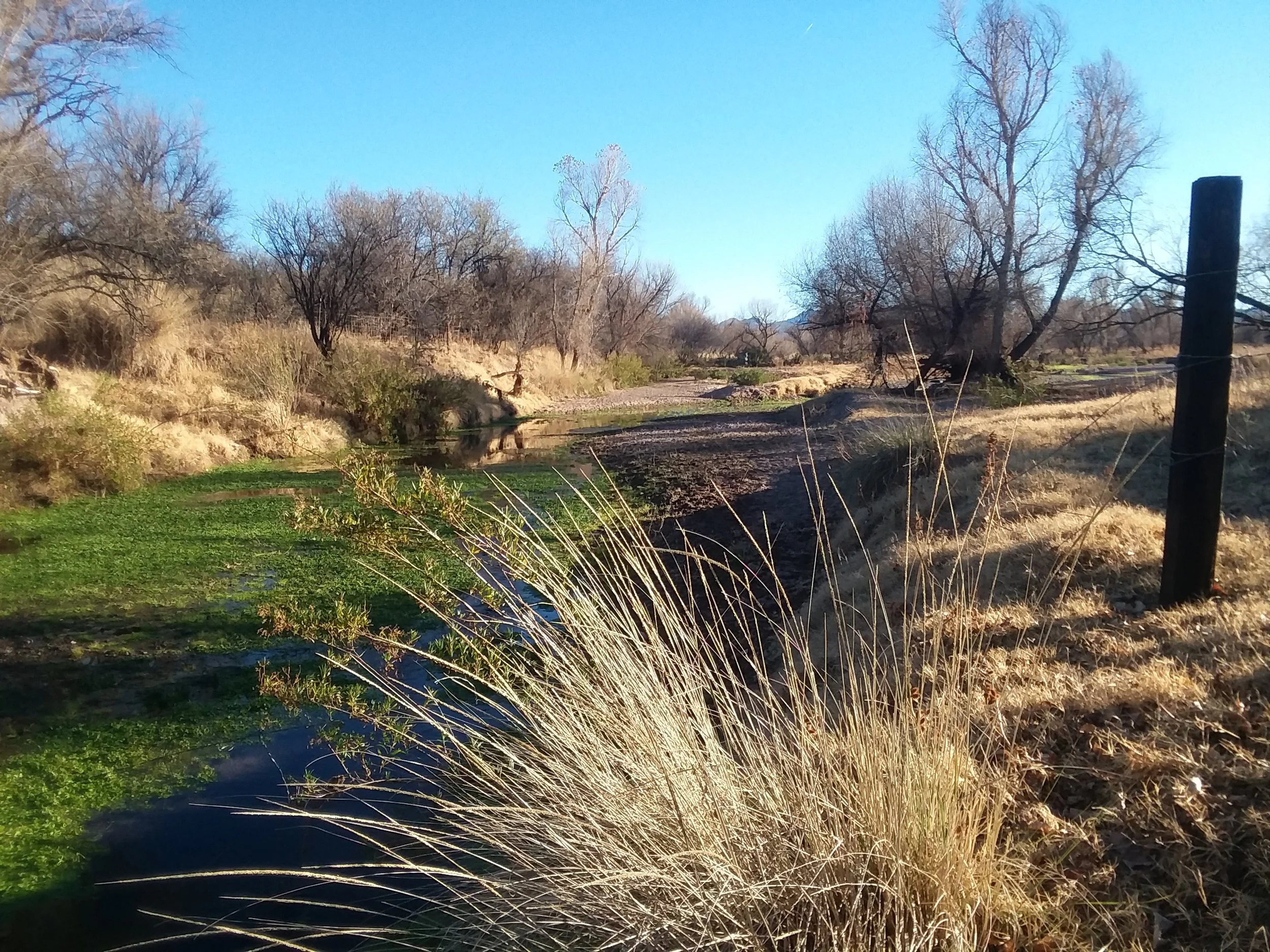 20171229_160604.jpg