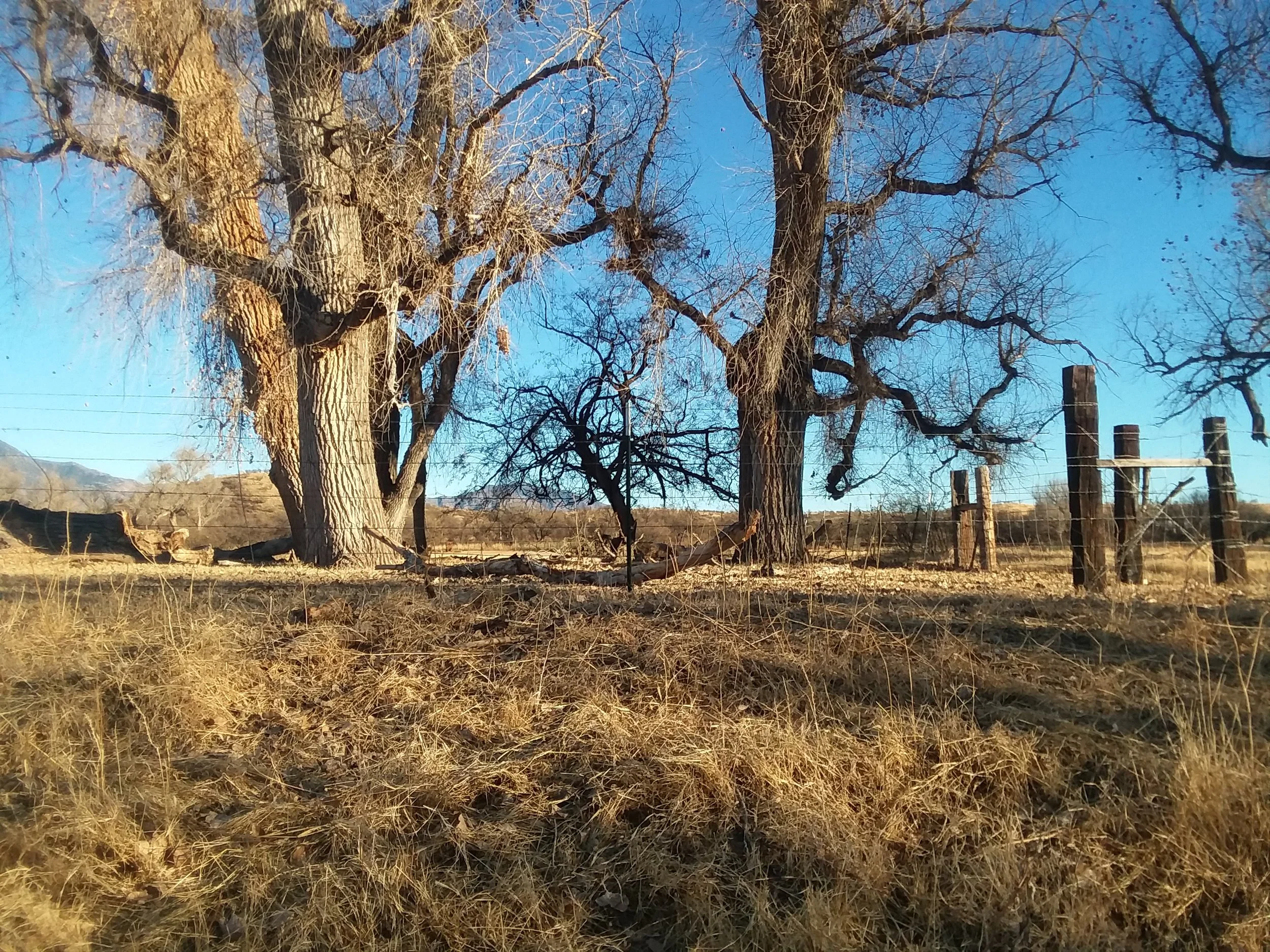 20171229_162549.jpg