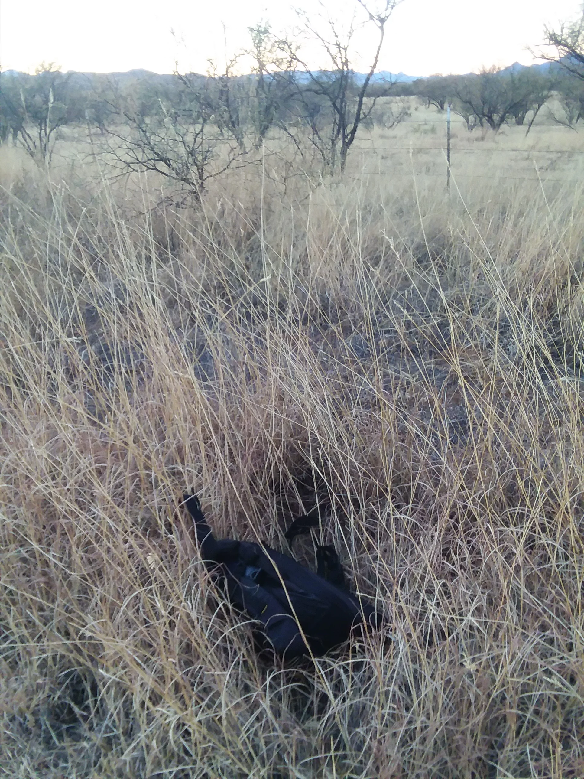 20171229_173516.jpg