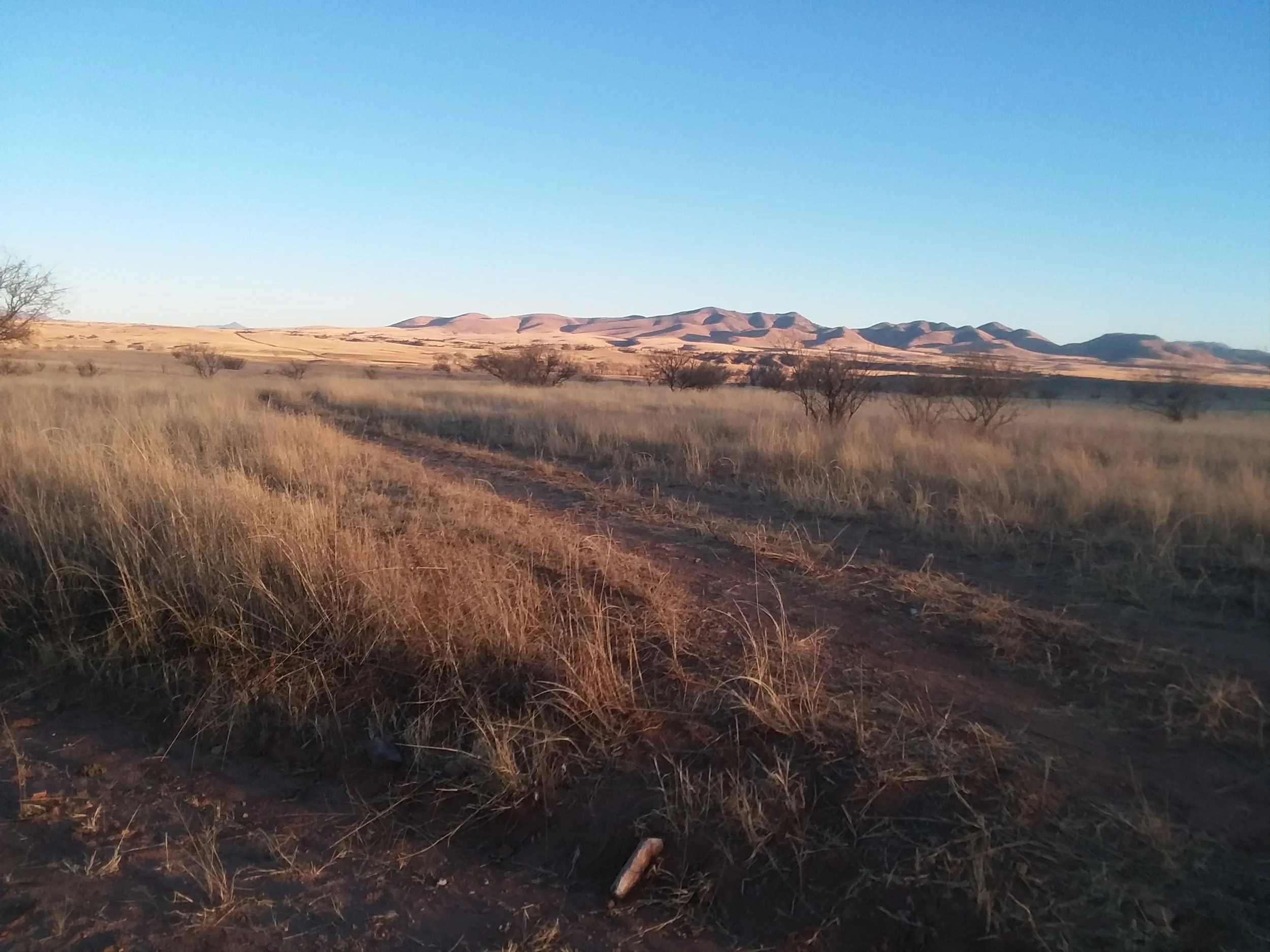 20171230_170205.jpg