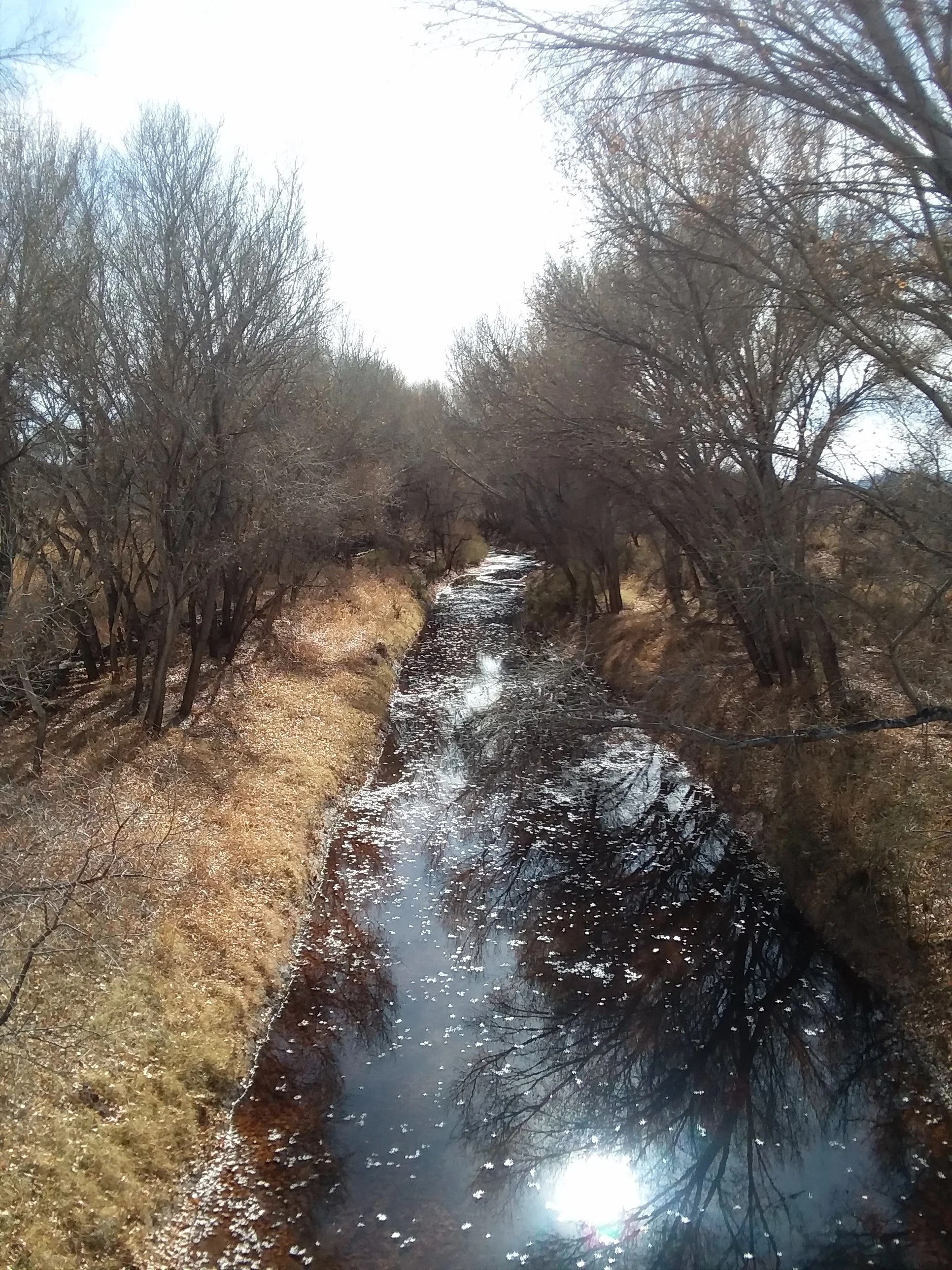 20180107_134528.jpg